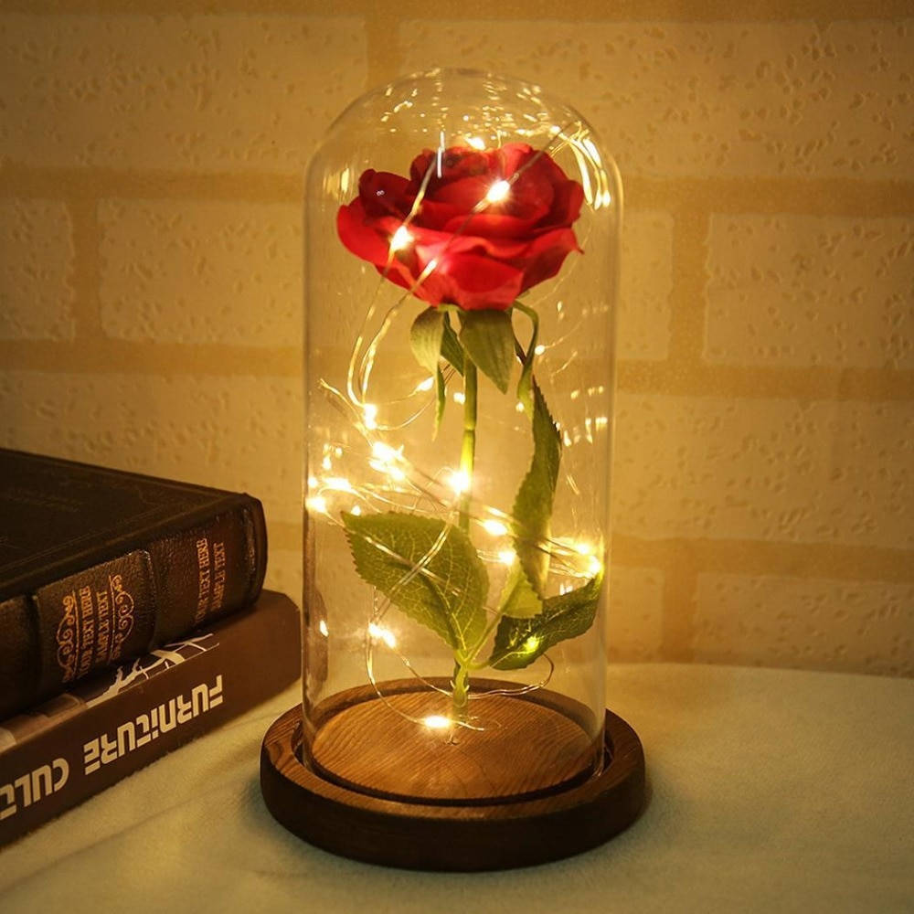 Beauty And The Beast Rose, red rose, glass dome, SD Desktop Wallpaper