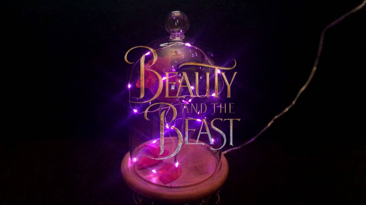 Beauty And The Beast, luminous beauty and the beast rose, glowing purple fairy lights, HD Desktop Wallpaper