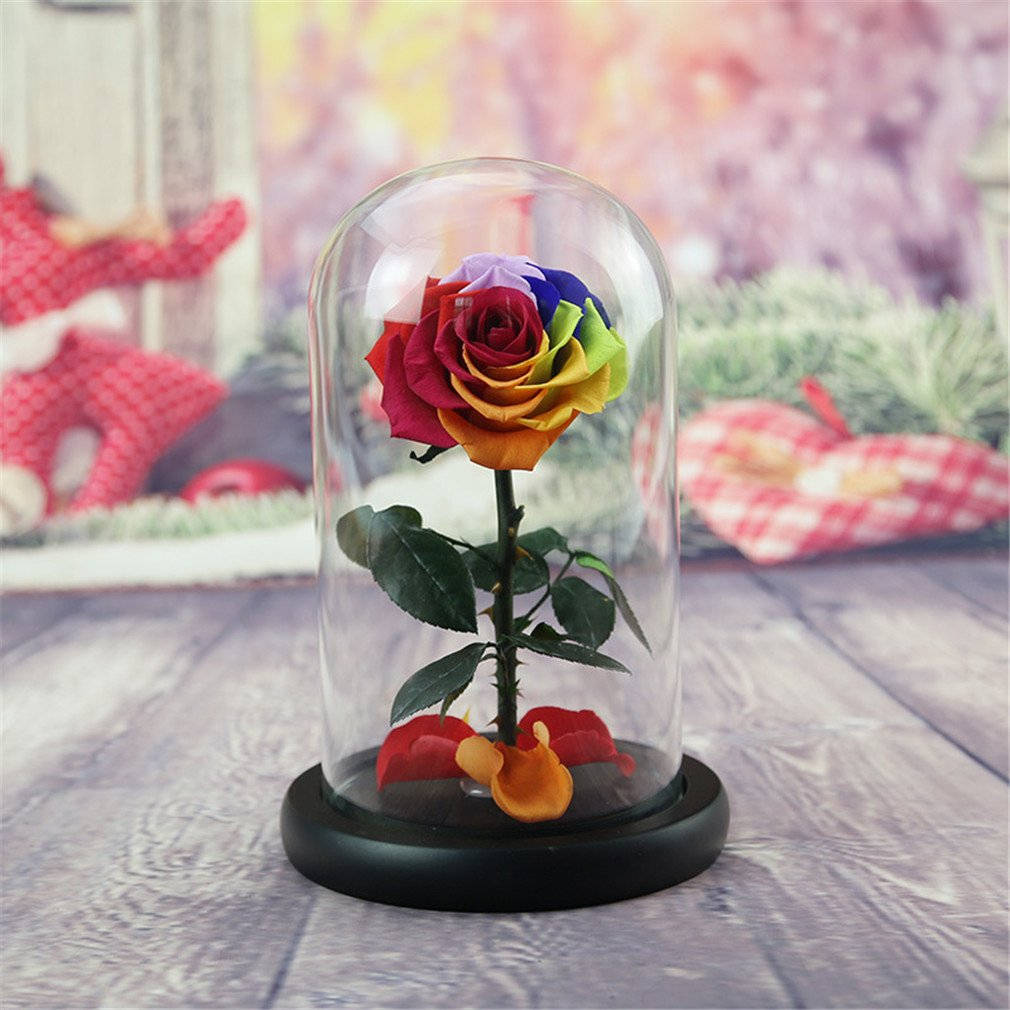 rainbow beauty and the beast rose, glass dome, wooden table, SD Desktop Wallpaper