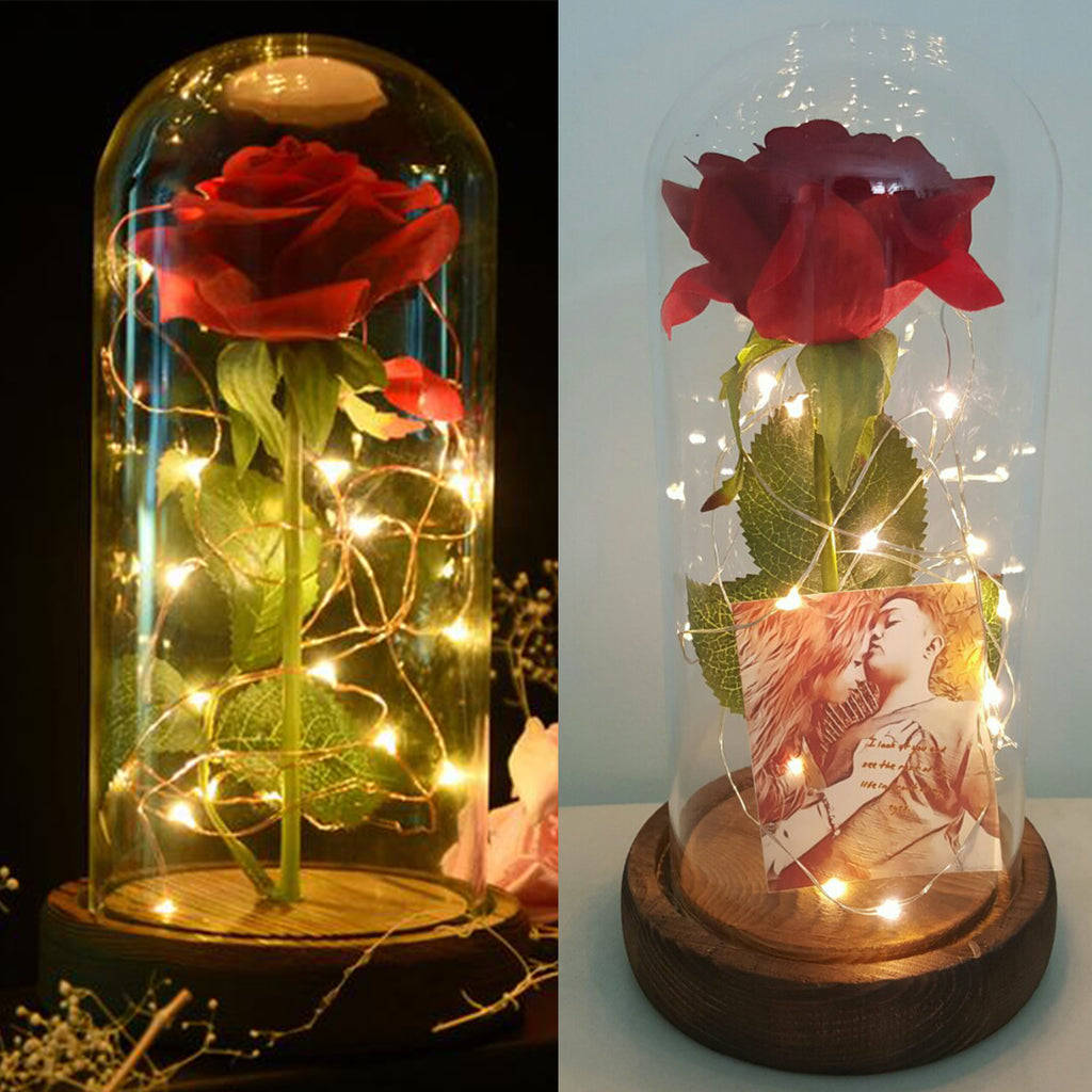 Beauty And The Beast Rose, red rose, glass dome, SD Desktop Wallpaper