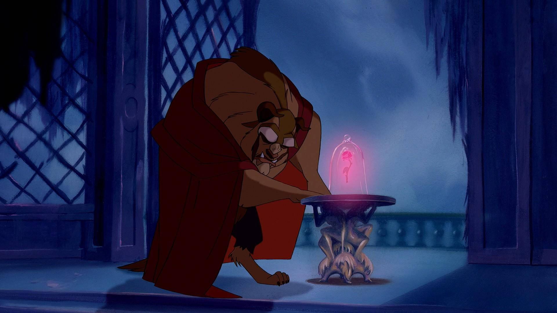 Beauty And The Beast, rose, red robe, Full HD Desktop Wallpaper