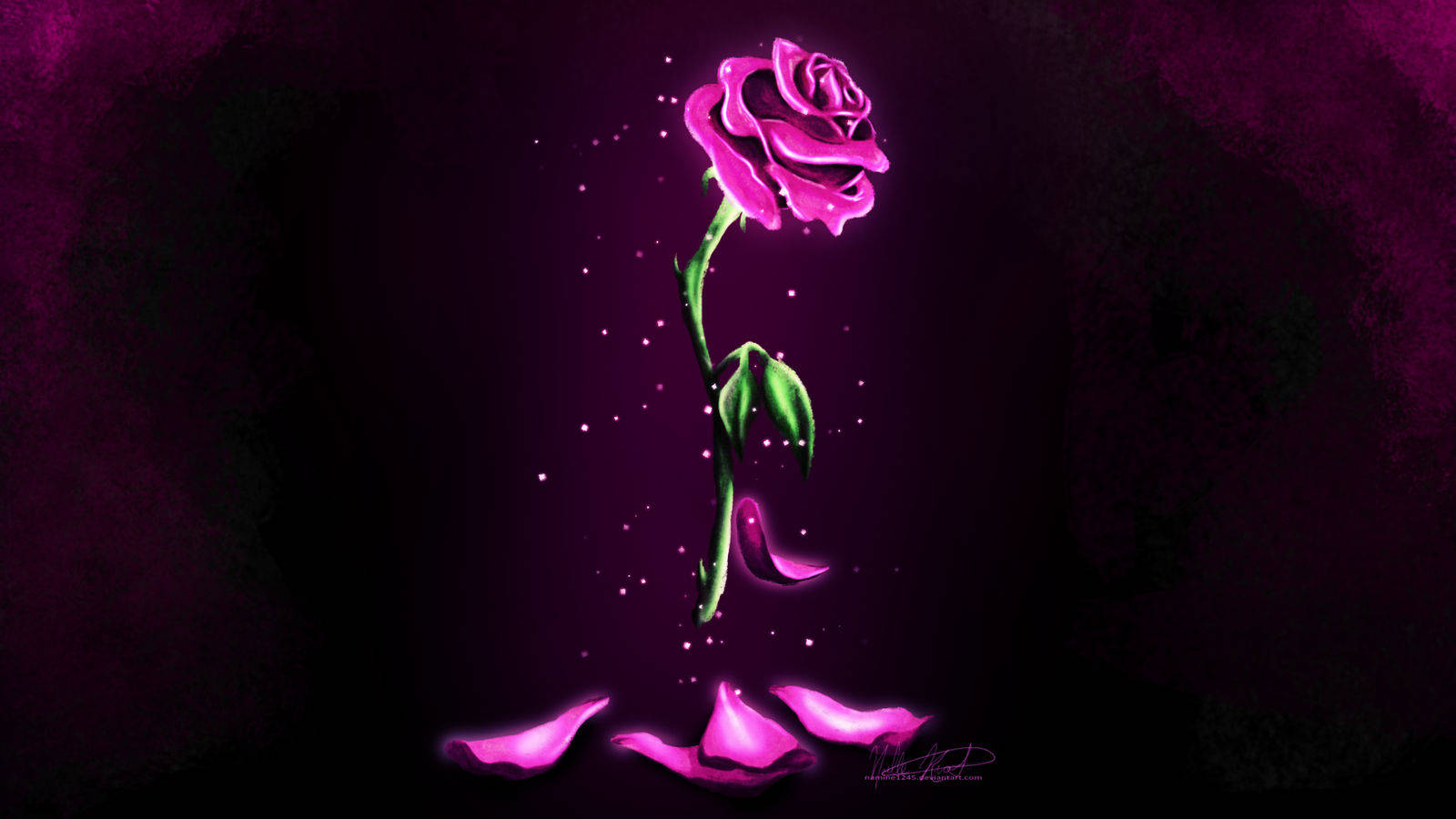 enchanted rose, Beauty And The Beast, glowing pink rose, HD Desktop Wallpaper