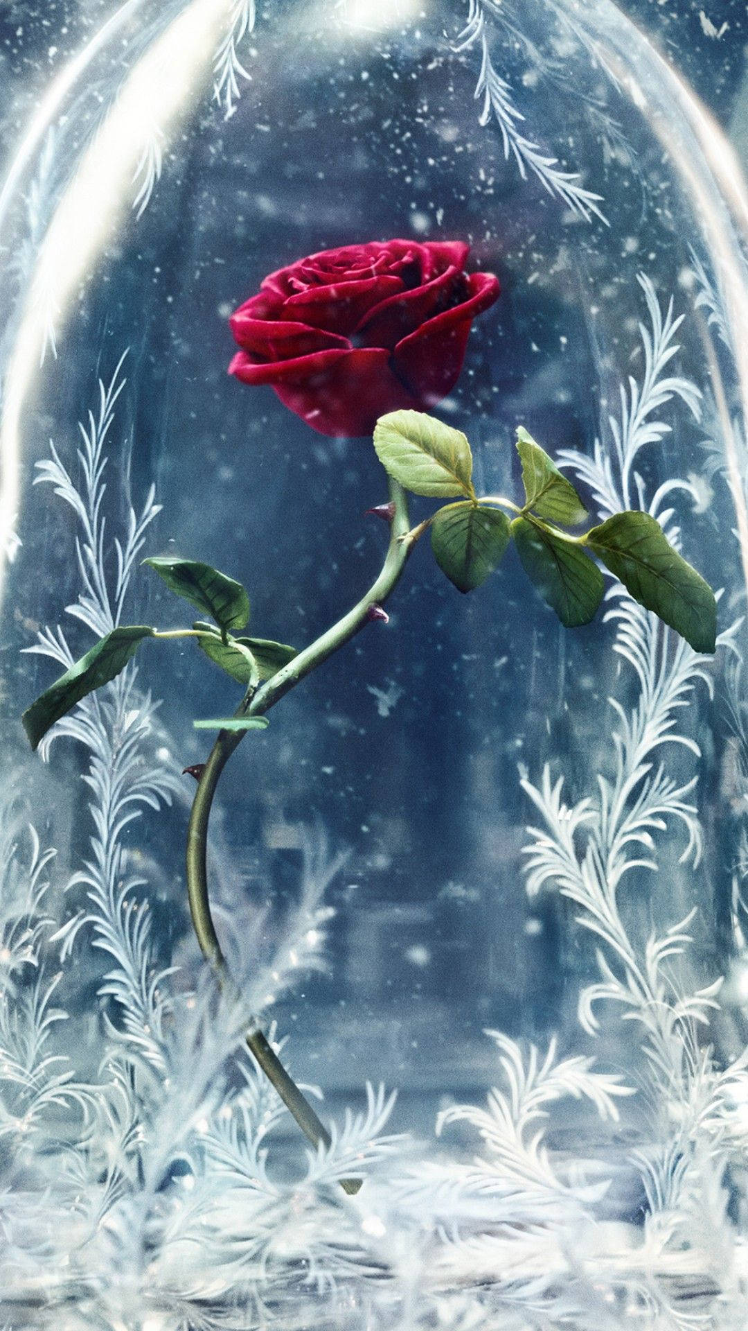 Beauty And The Beast, rose, glass dome, Full HD Phone Wallpaper