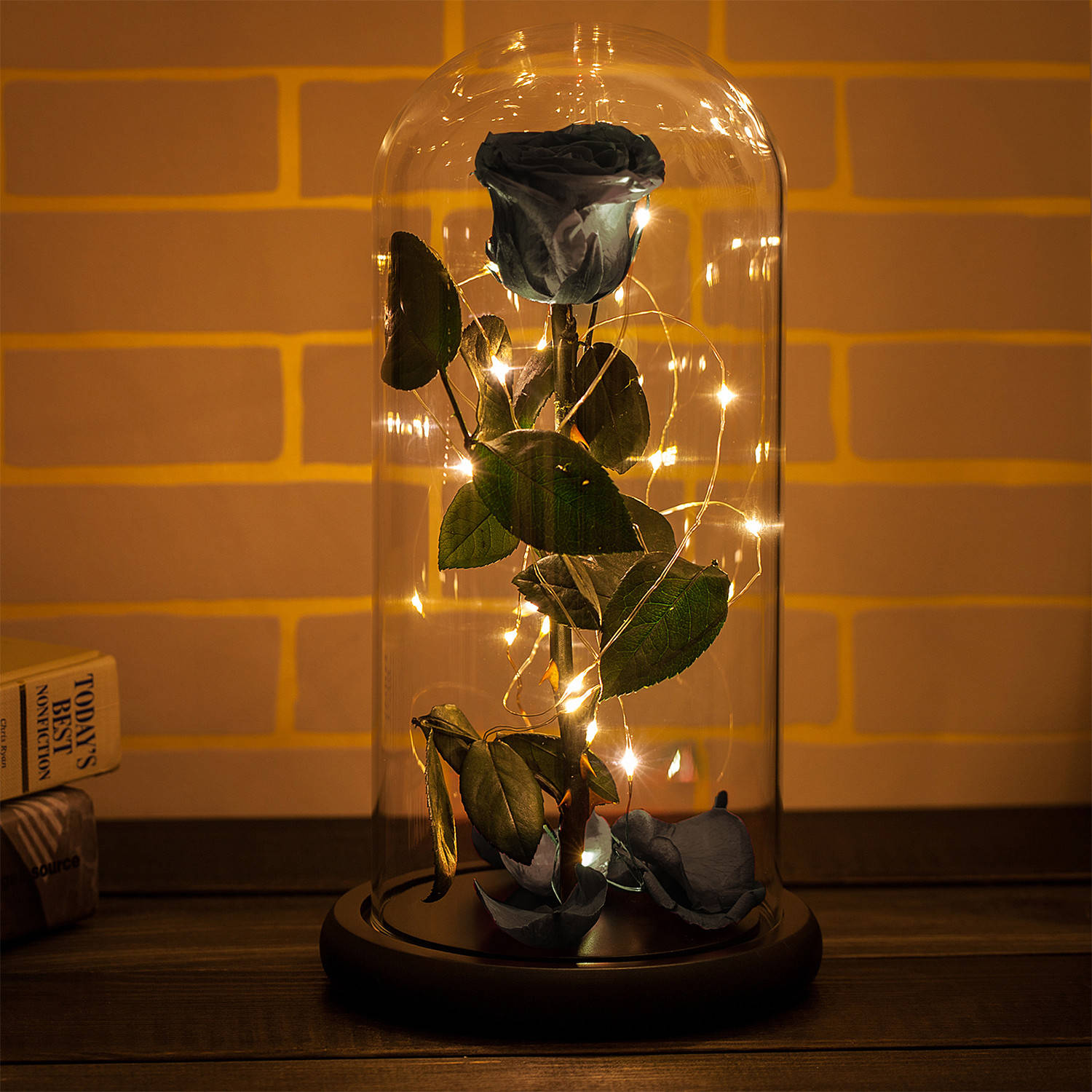 Black Beauty And The Beast Rose, dark blue rose, glass dome, HD Desktop Wallpaper