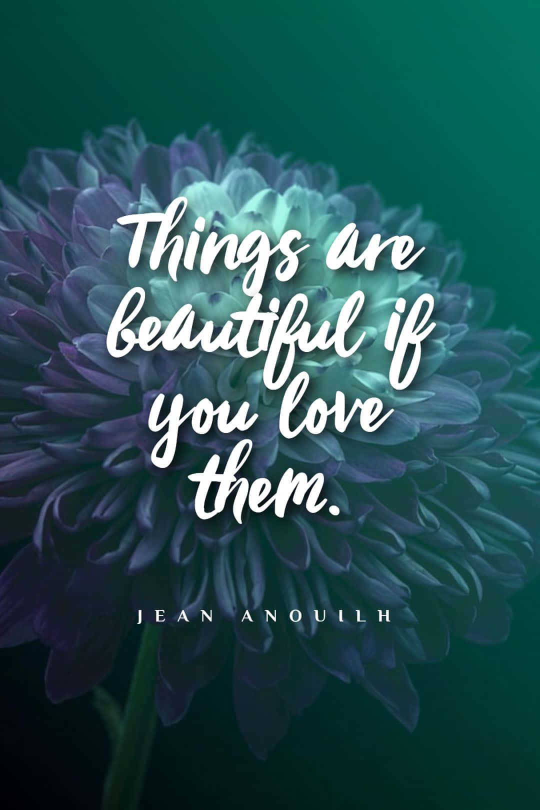 deep purple flower, teal background, white cursive quote, HD Phone Wallpaper