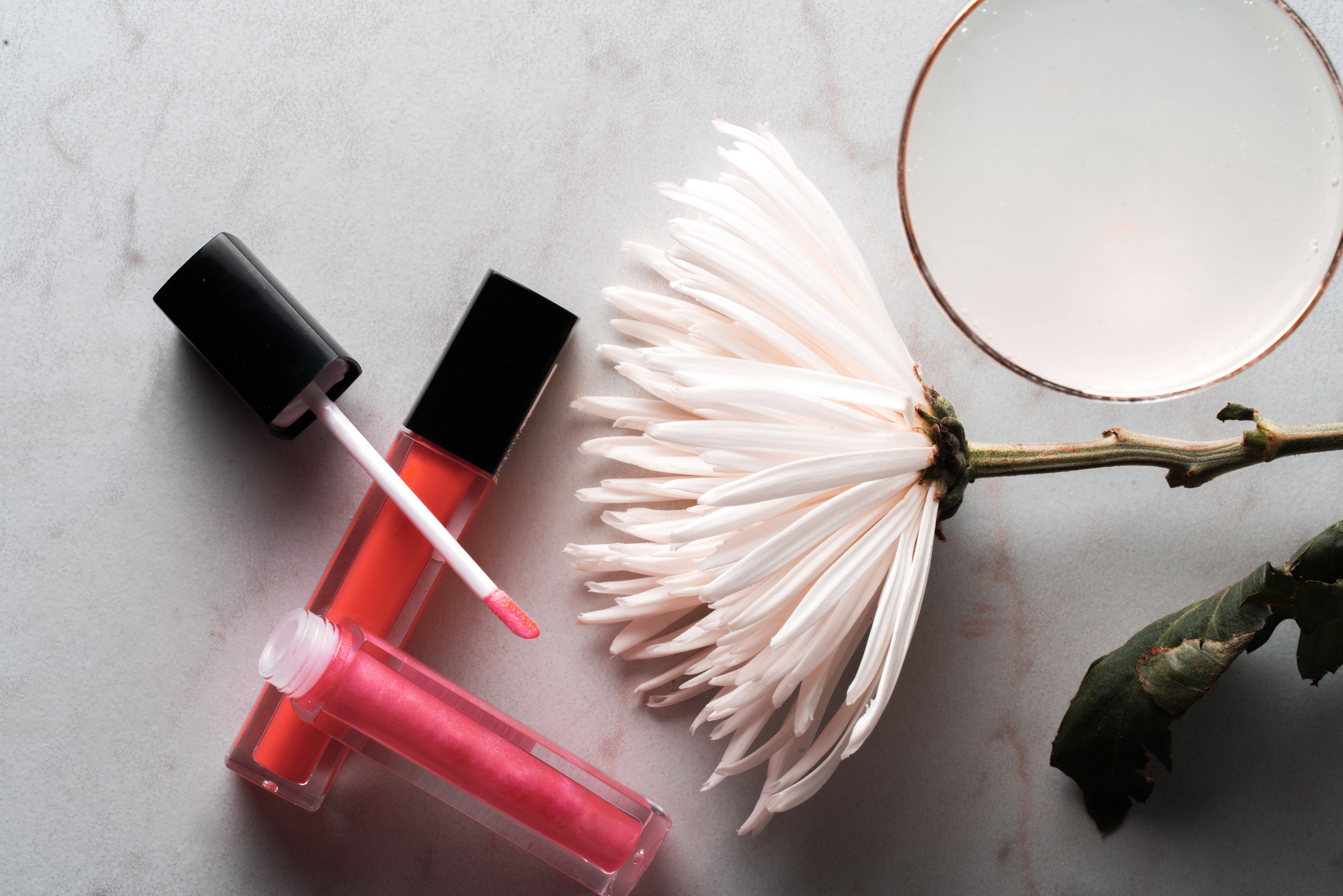 beauty salon, coral lip gloss, white chrysanthemum, 8K Desktop Wallpaper