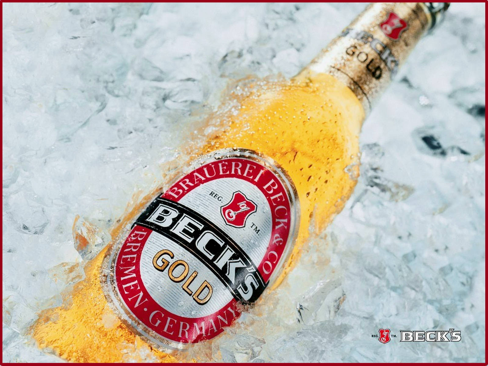 Becks Gold, amber glass, condensation, HD Desktop Wallpaper