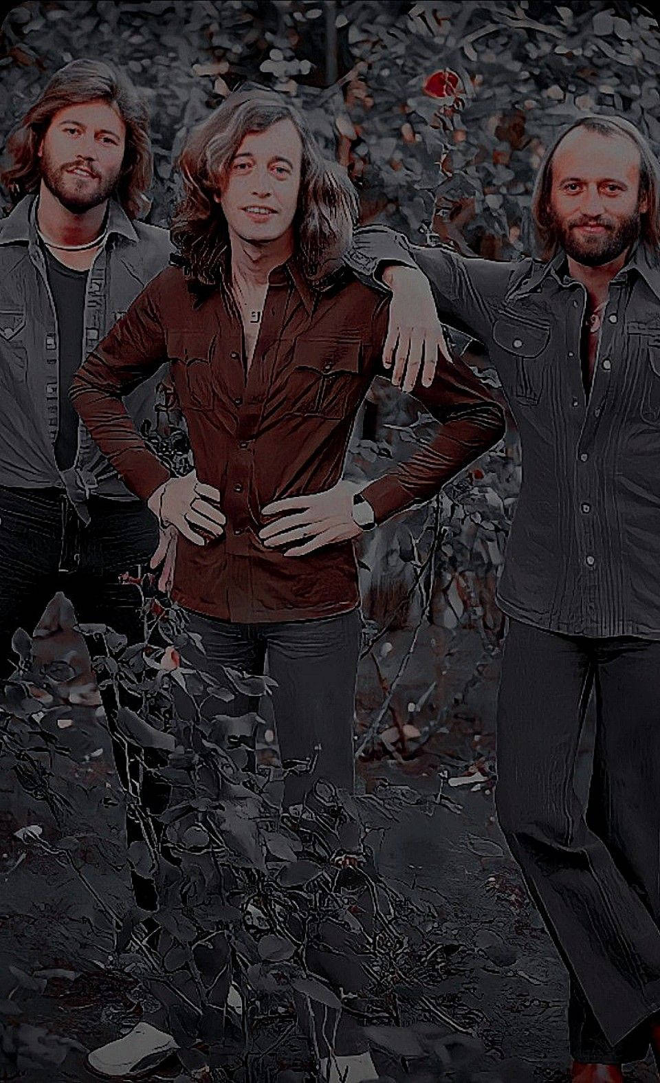 Bee Gees, outdoor woods, dark leafy forest, HD Phone Wallpaper