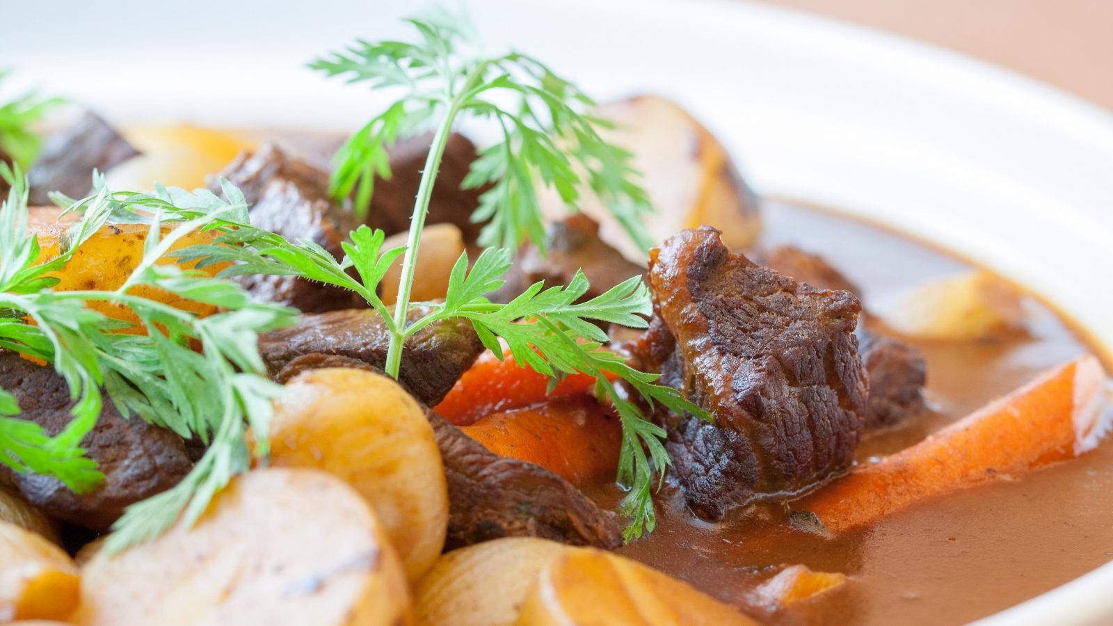 Beef Bourguignon, white bowl, carrots, HD Desktop Wallpaper