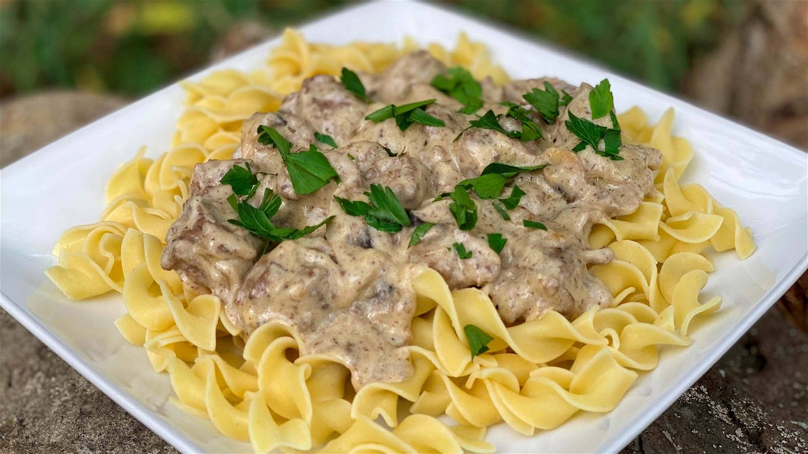 beef stroganoff, pasta, white plate, HD Desktop Wallpaper