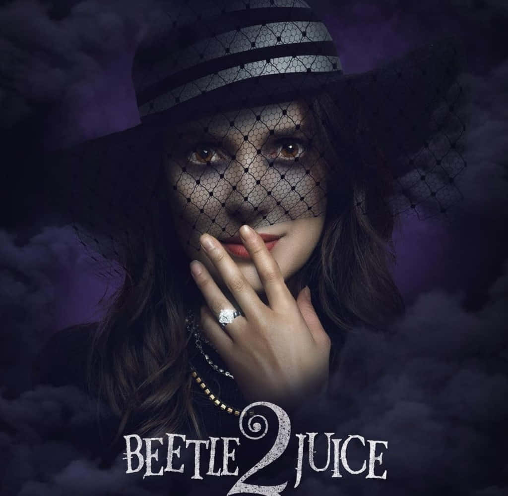Beetlejuice 2, mysterious woman with veil, black hat, SD Desktop Wallpaper