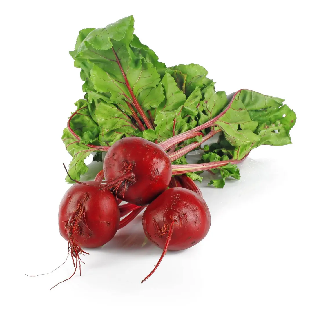 Beetroot