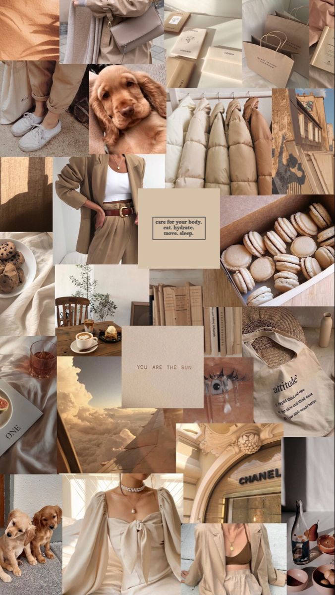 Beige Aesthetic Collage, dogs cozy clothing, macarons, SD Phone Wallpaper