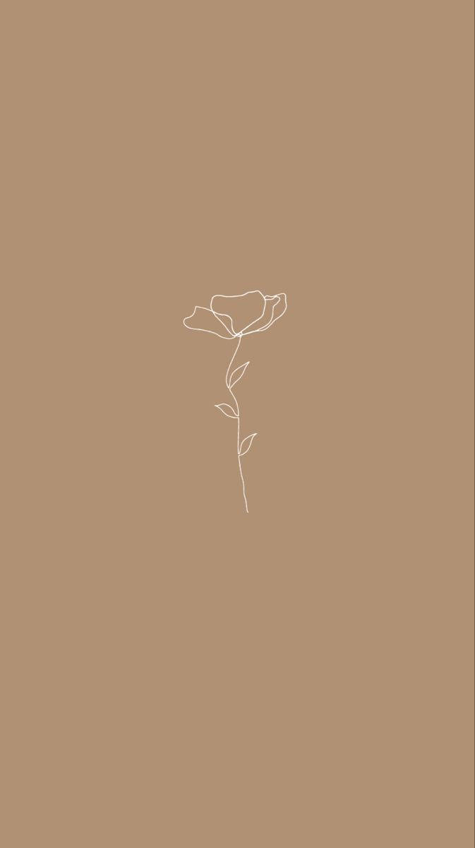 rose, white line drawing, taupe background, SD Phone Wallpaper