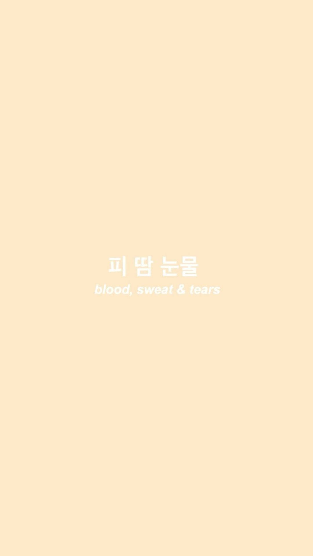 Beige Aesthetic Phone, Korean text, English translation, Full HD Phone Wallpaper