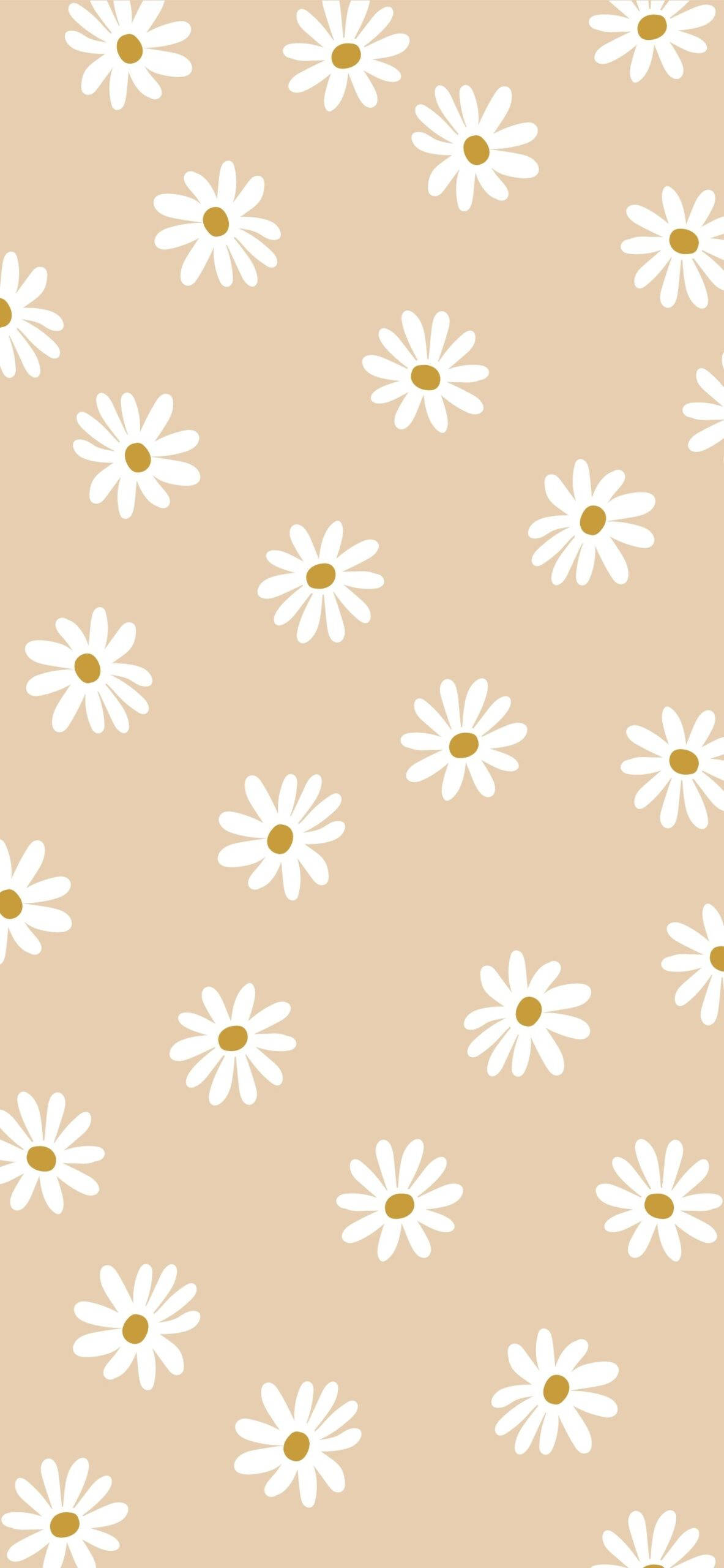 beige aesthetic phone, daisy flowers, white daisies, 2K Phone Wallpaper