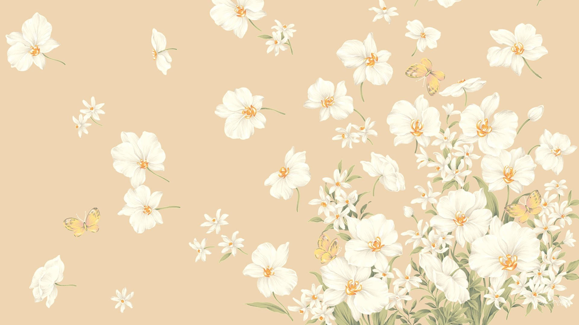 flowery beige aesthetic, soft beige background, delicate white flowers, Full HD Desktop Wallpaper
