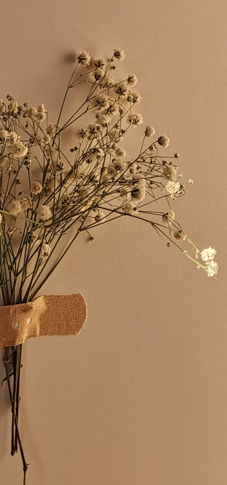 dainty flower beige aesthetic, baby's breath flowers, woven basket, HD Phone Wallpaper