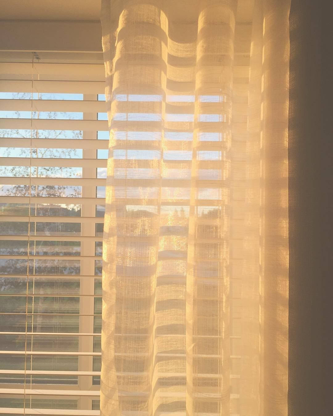 beige aesthetic, golden sunlight, sheer curtains, HD Phone Wallpaper