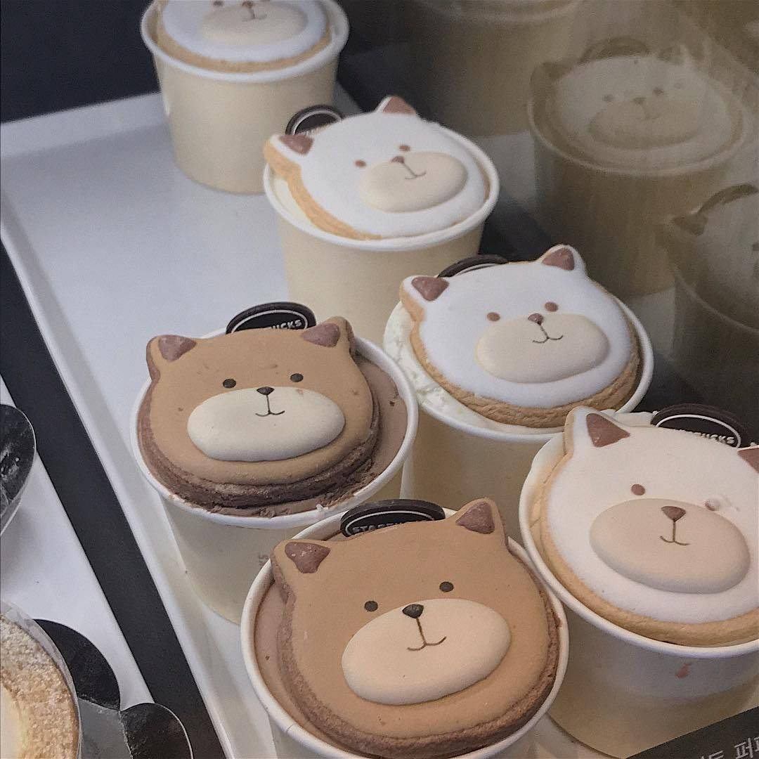 beige aesthetic, bear-faced macarons, cups, SD Desktop Wallpaper