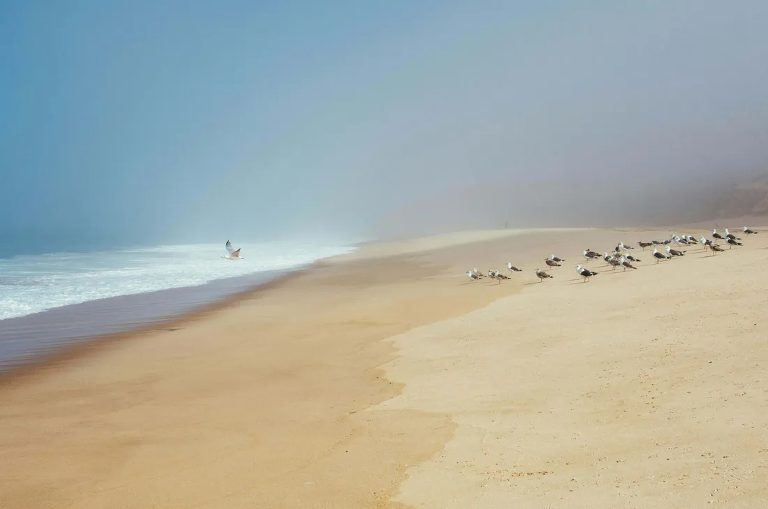Beige Beach Aesthetic