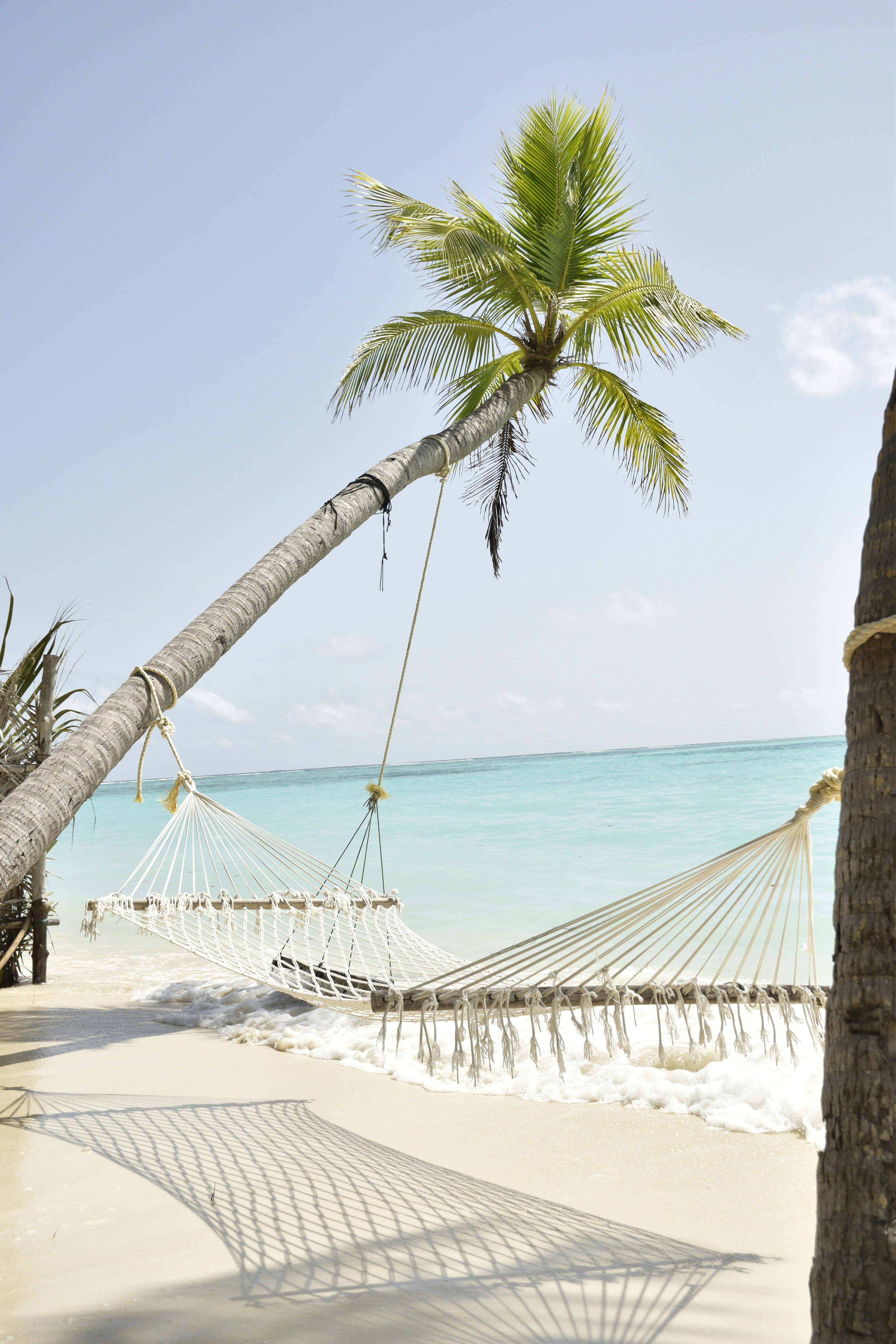 beige beach hammock paradise, white hammock, palm trees, 5K Phone Wallpaper