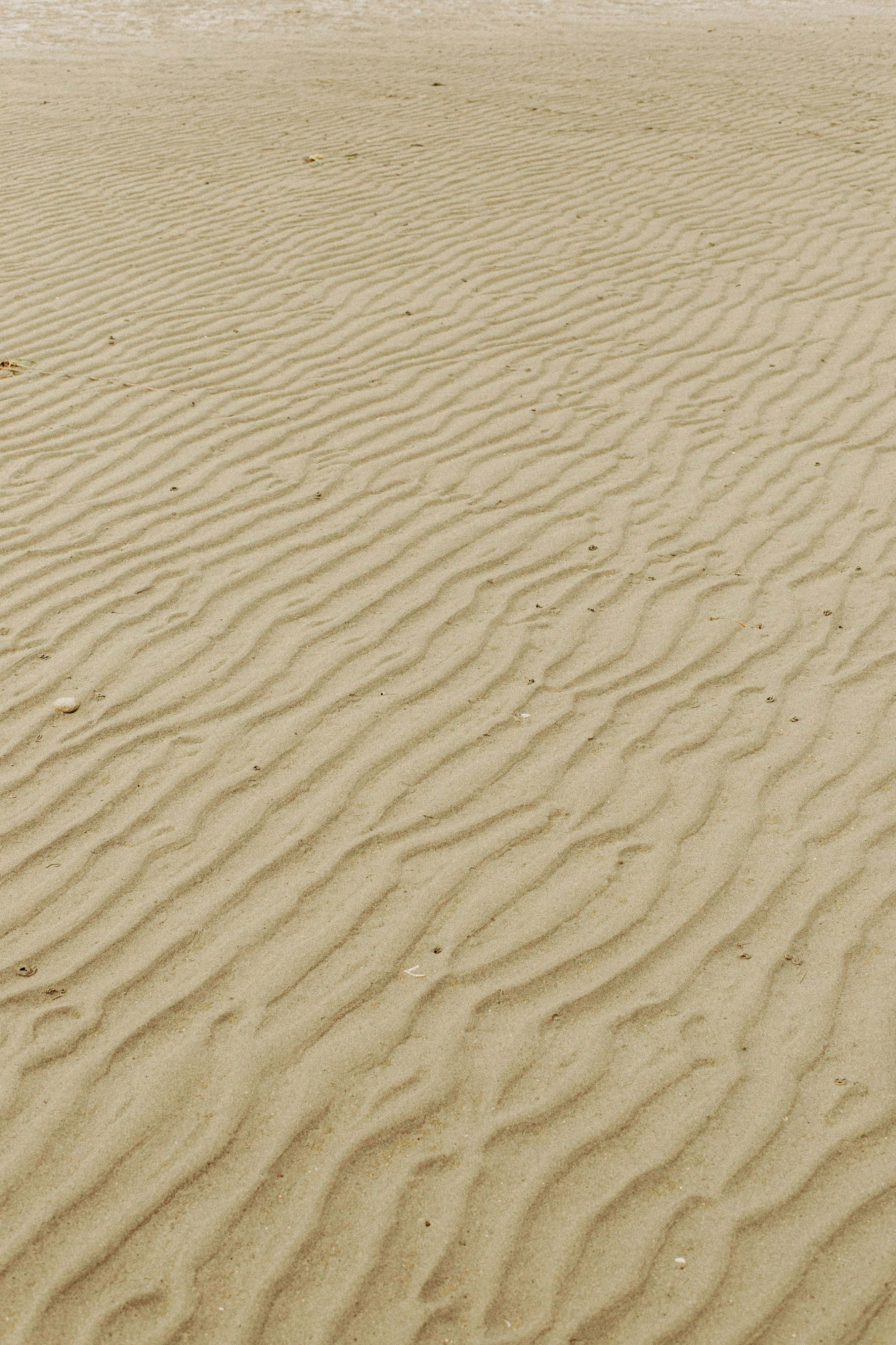 golden sand, rippled, small shells, 4K Phone Wallpaper