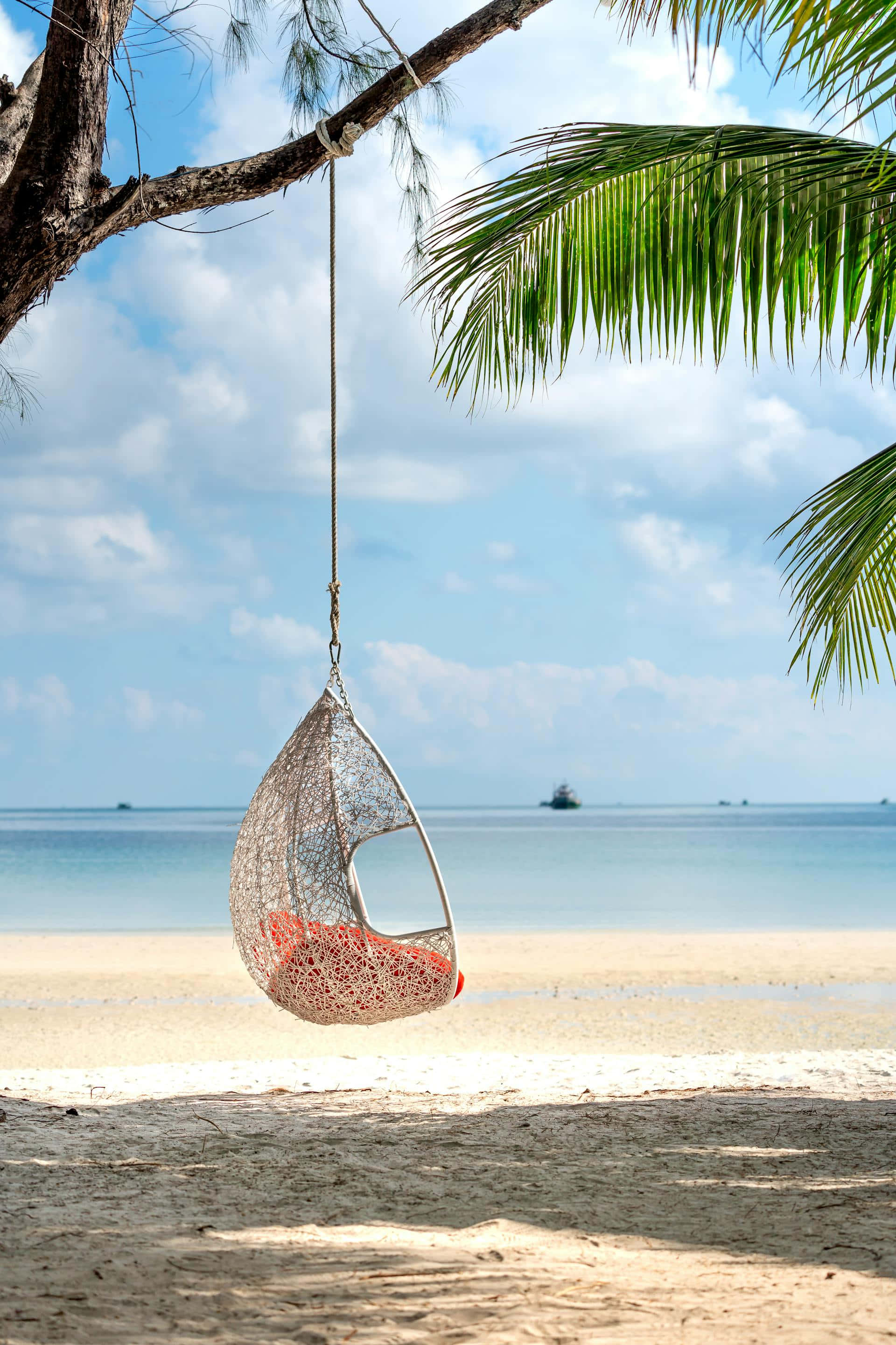 beige beach hanging chair, coral cushions, palm tree, 2K Phone Wallpaper