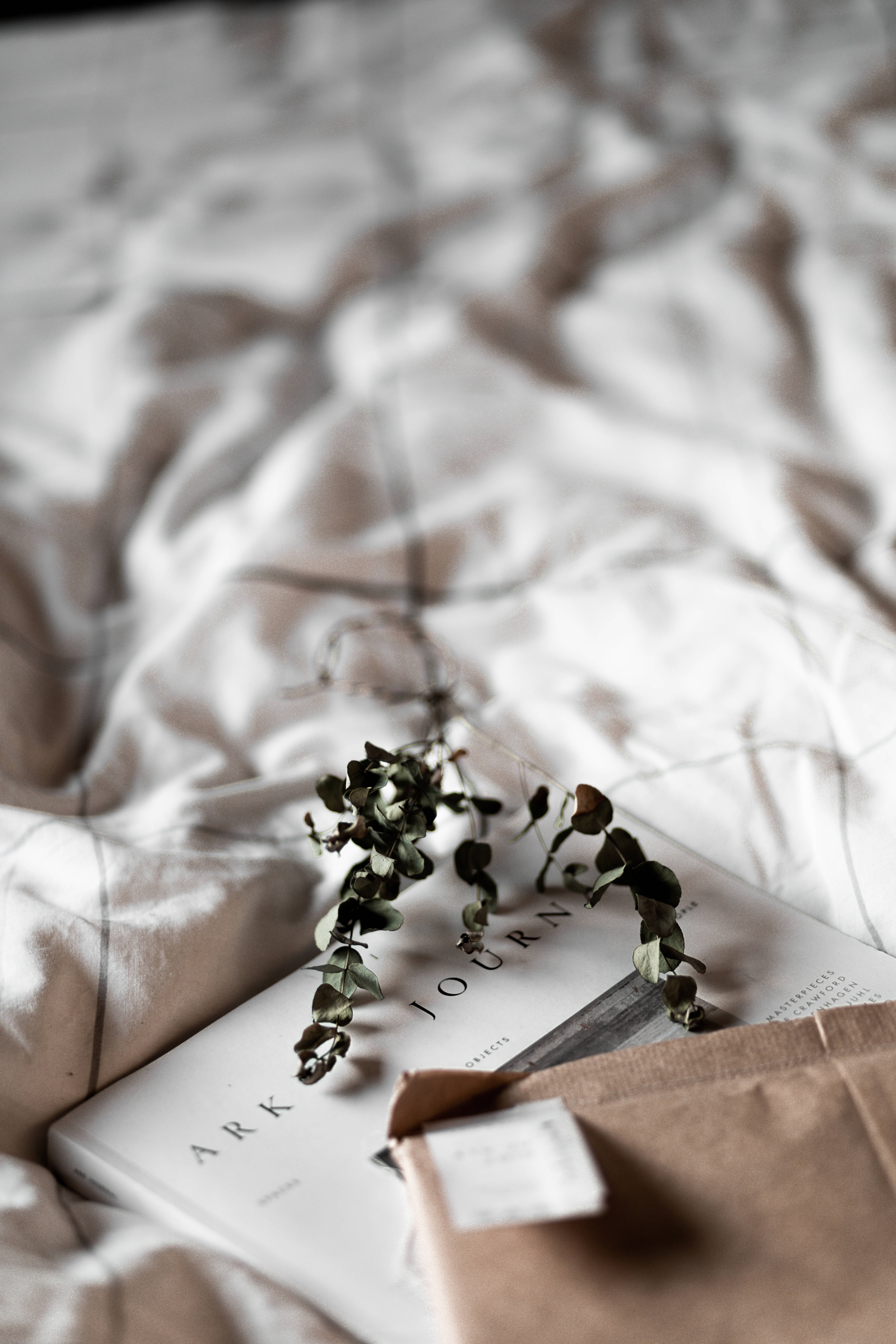 beige minimalist, dried eucalyptus branch, book, 5K Phone Wallpaper