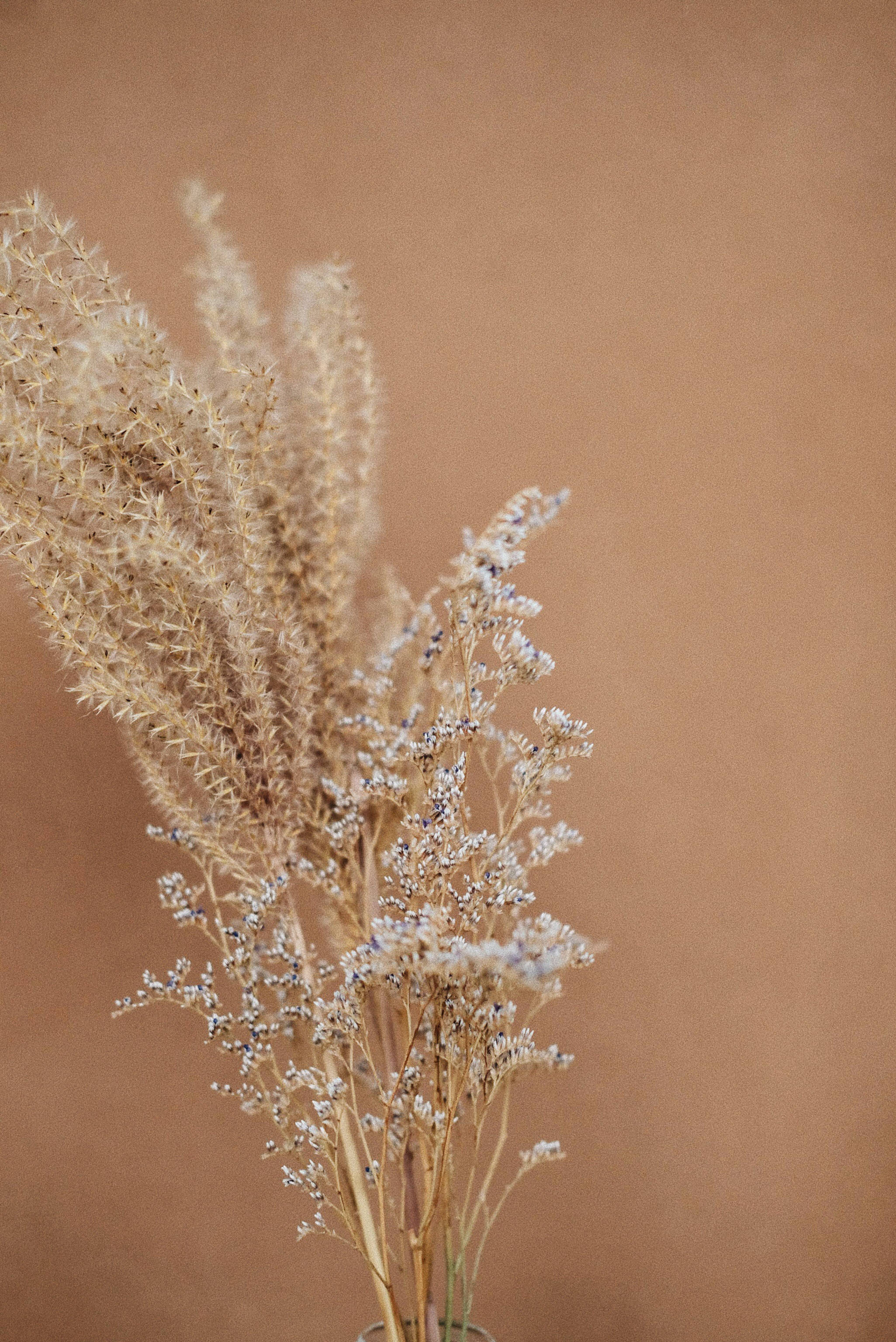 beige, lavender, terracotta, 2K Phone Wallpaper