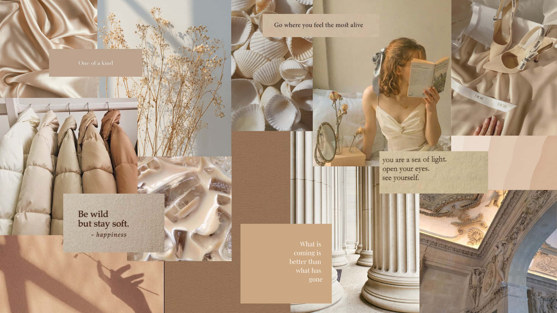Beige Desktop, dried flowers, silk fabrics, Full HD Desktop Wallpaper