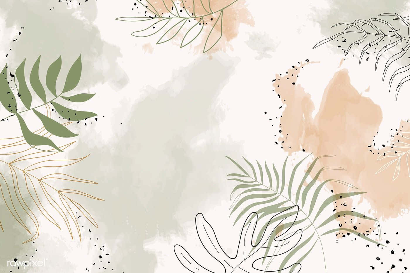Beige Desktop, Ferns, botanical illustration, HD Desktop Wallpaper