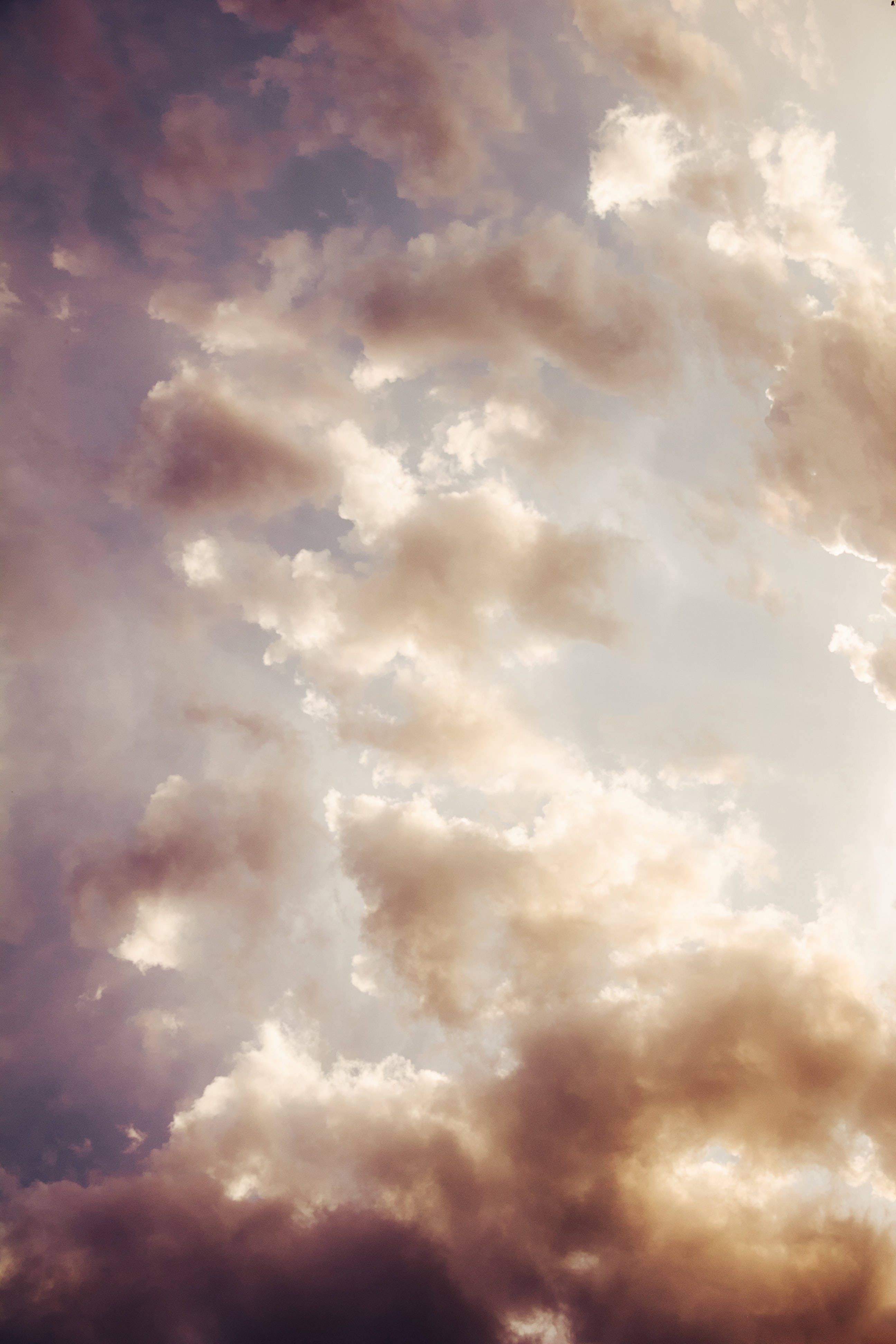 beige iPhone, warm sepia tones, golden highlights, 4K Phone Wallpaper