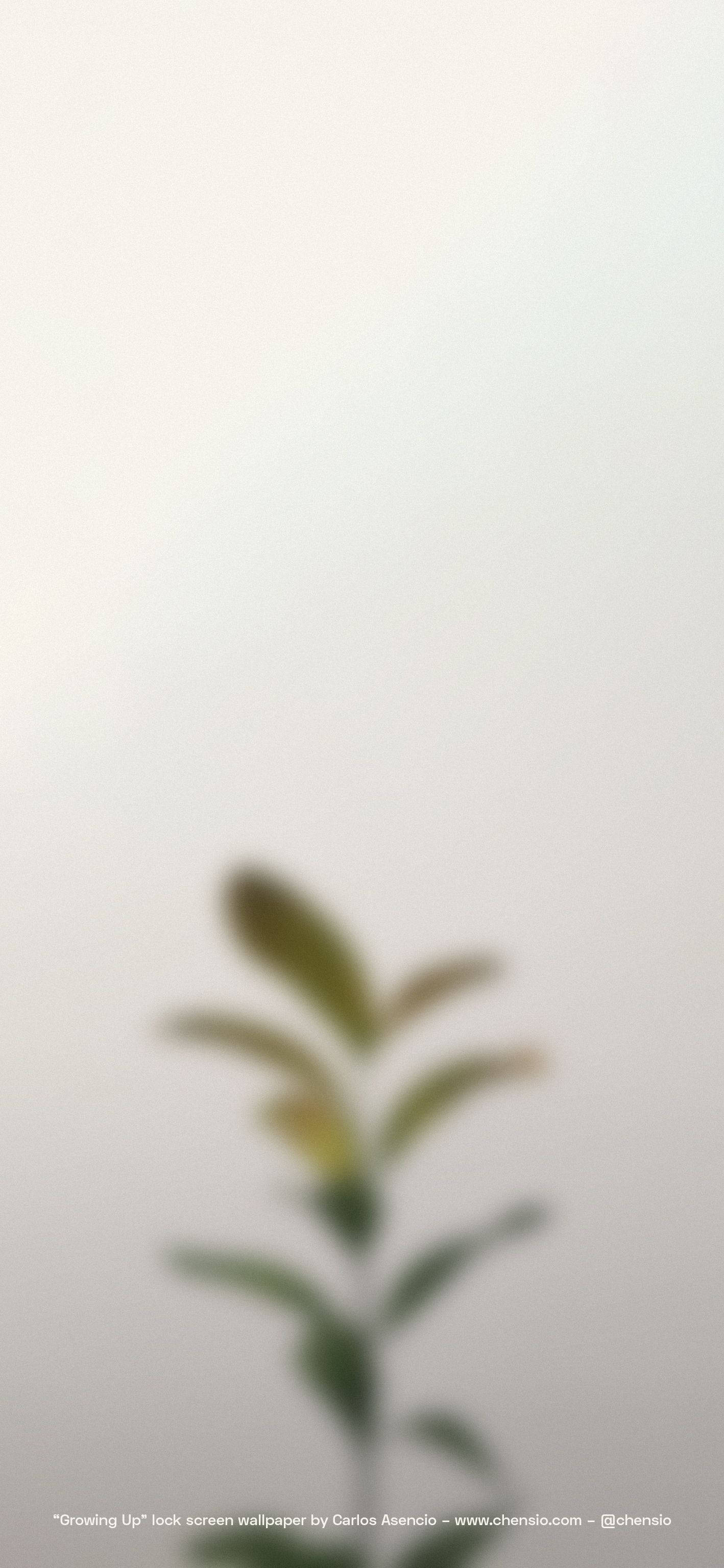 beige iPhone 14, pale gray background, green plant stem, 2K Phone Wallpaper