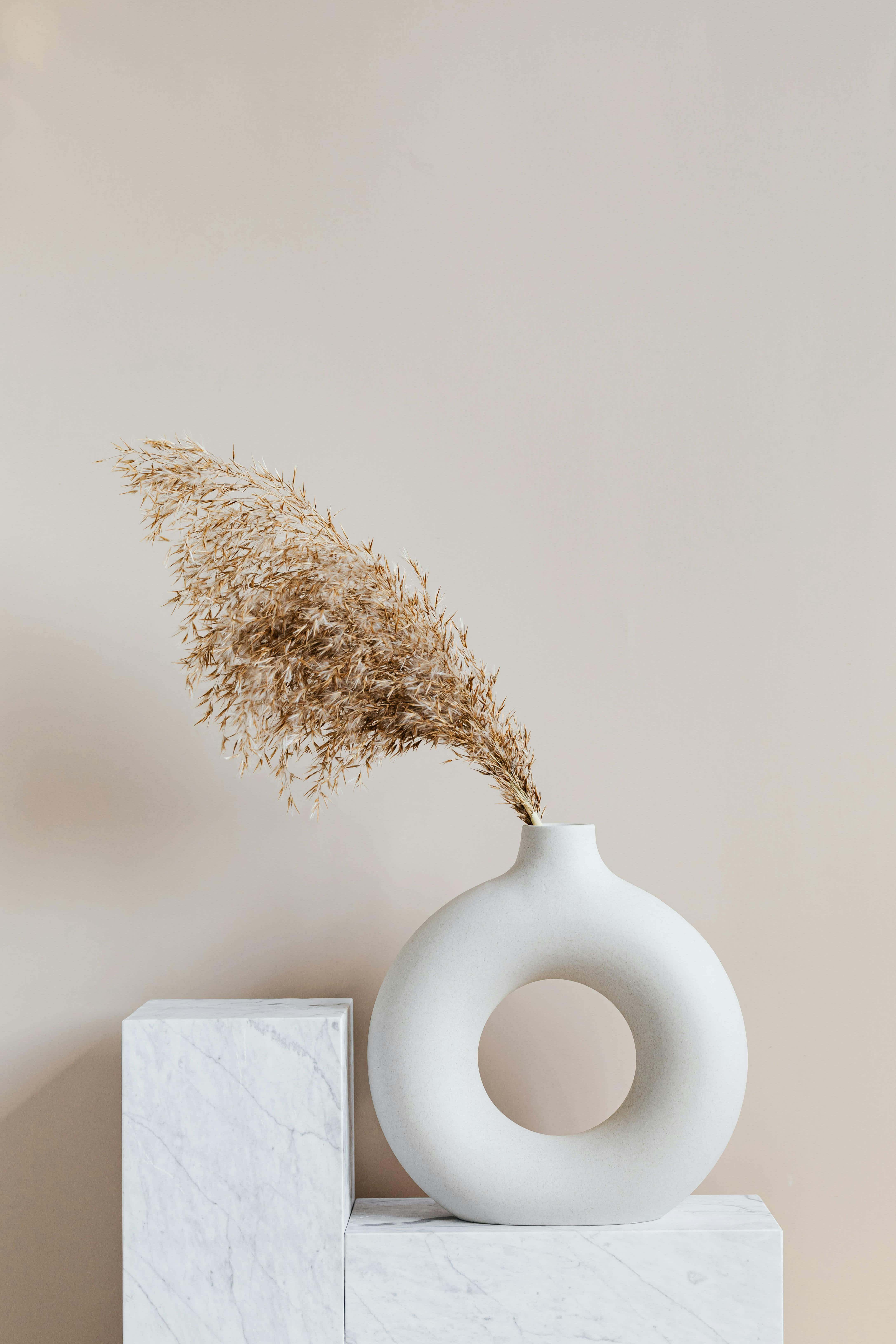 minimalist beige tan aesthetic, white ring vase, dried pampas grass, 5K Phone Wallpaper