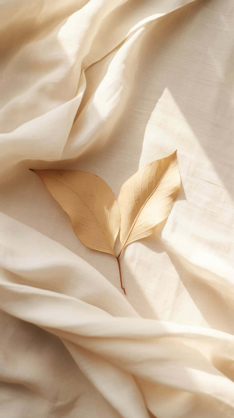 beige linen fabric, golden leaves, warm natural light, HD Phone Wallpaper