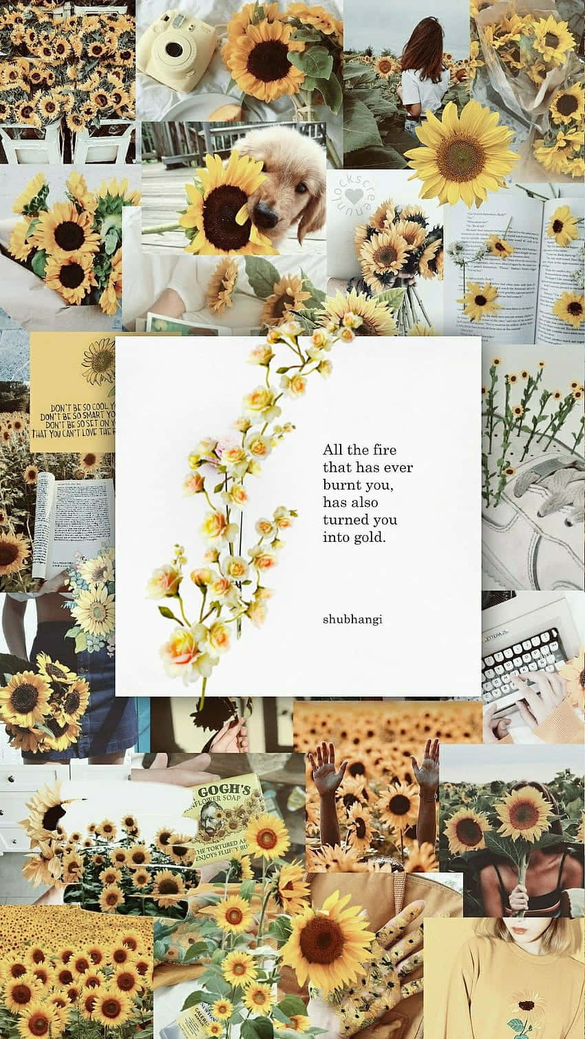 sunflower, beige vanilla aesthetic, vintage aesthetics, HD Phone Wallpaper