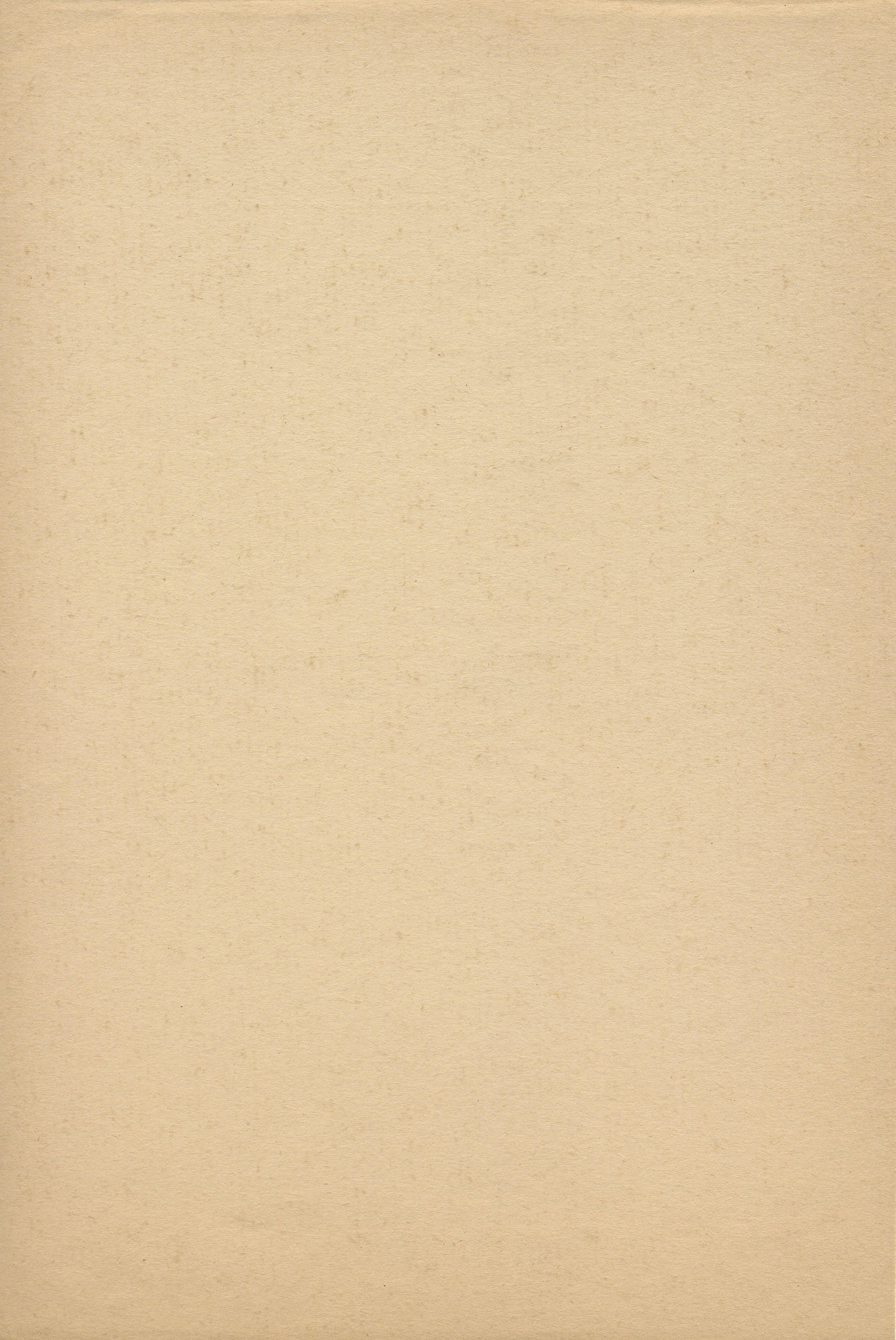 beige, textured paper surface, subtle grain, 4K Phone Wallpaper