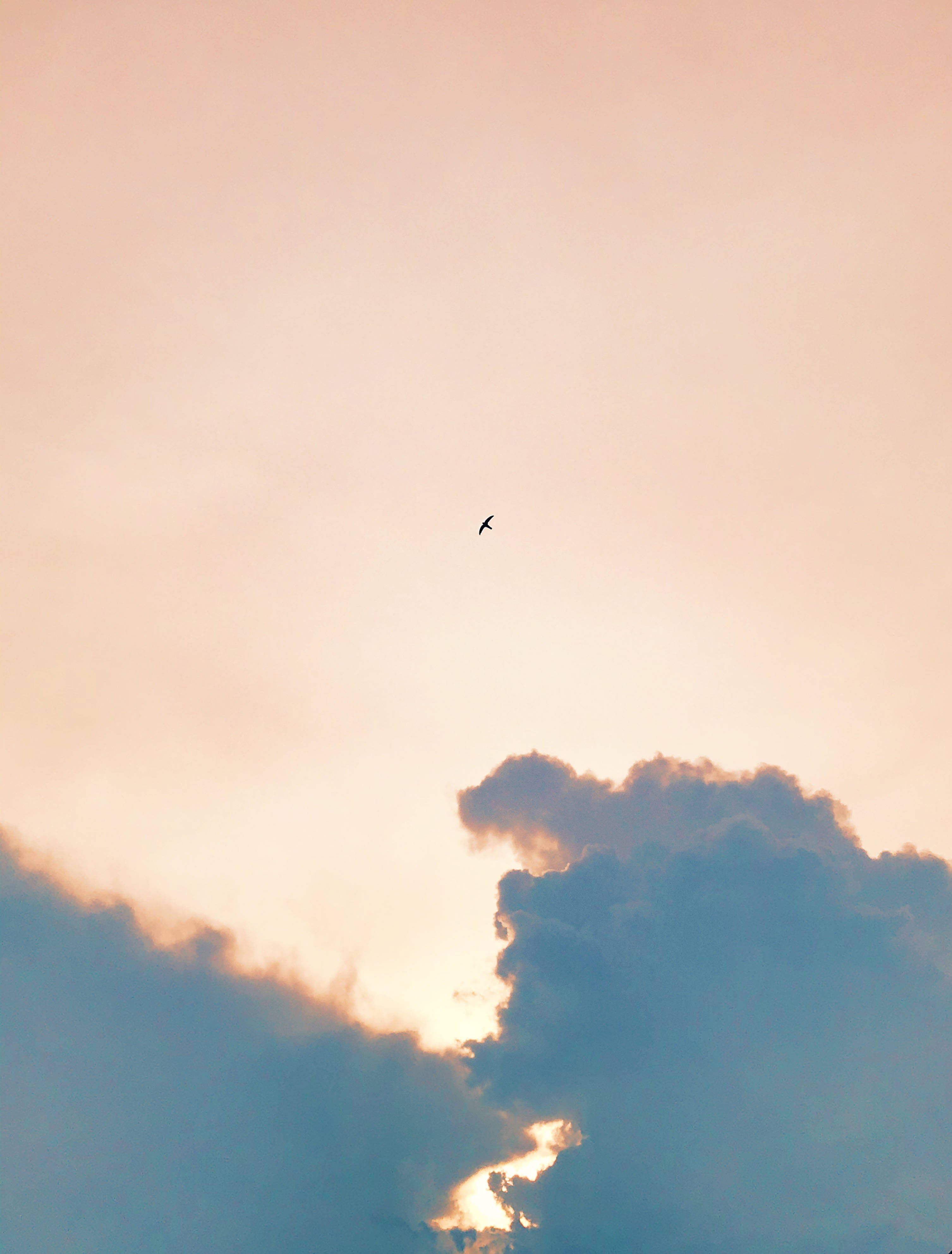 pinkish beige sky, soft peach and blue sky, dramatic clouds, 4K Phone Wallpaper