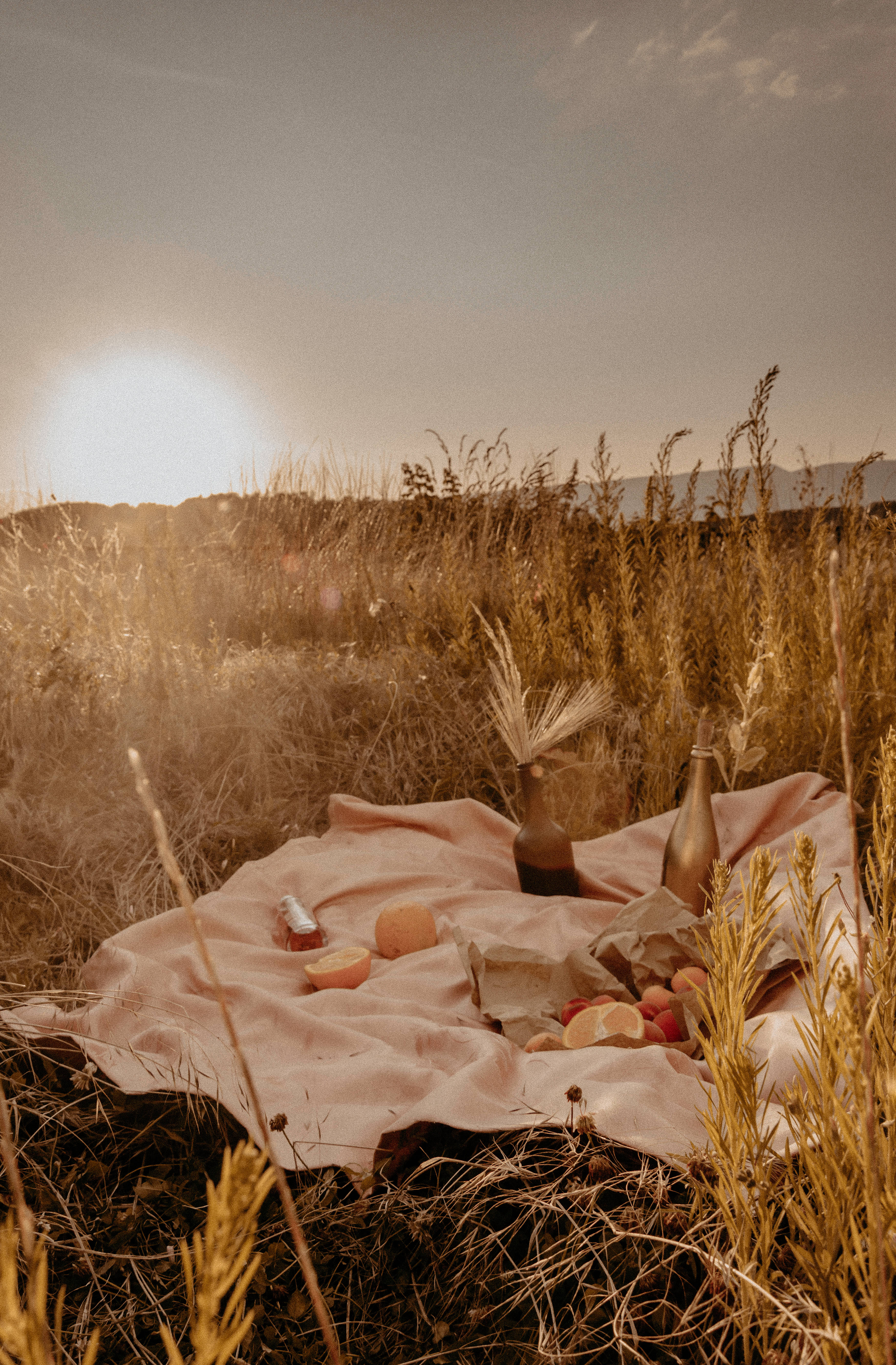 golden sunset, wild grass field, pink blanket, 5K Phone Wallpaper