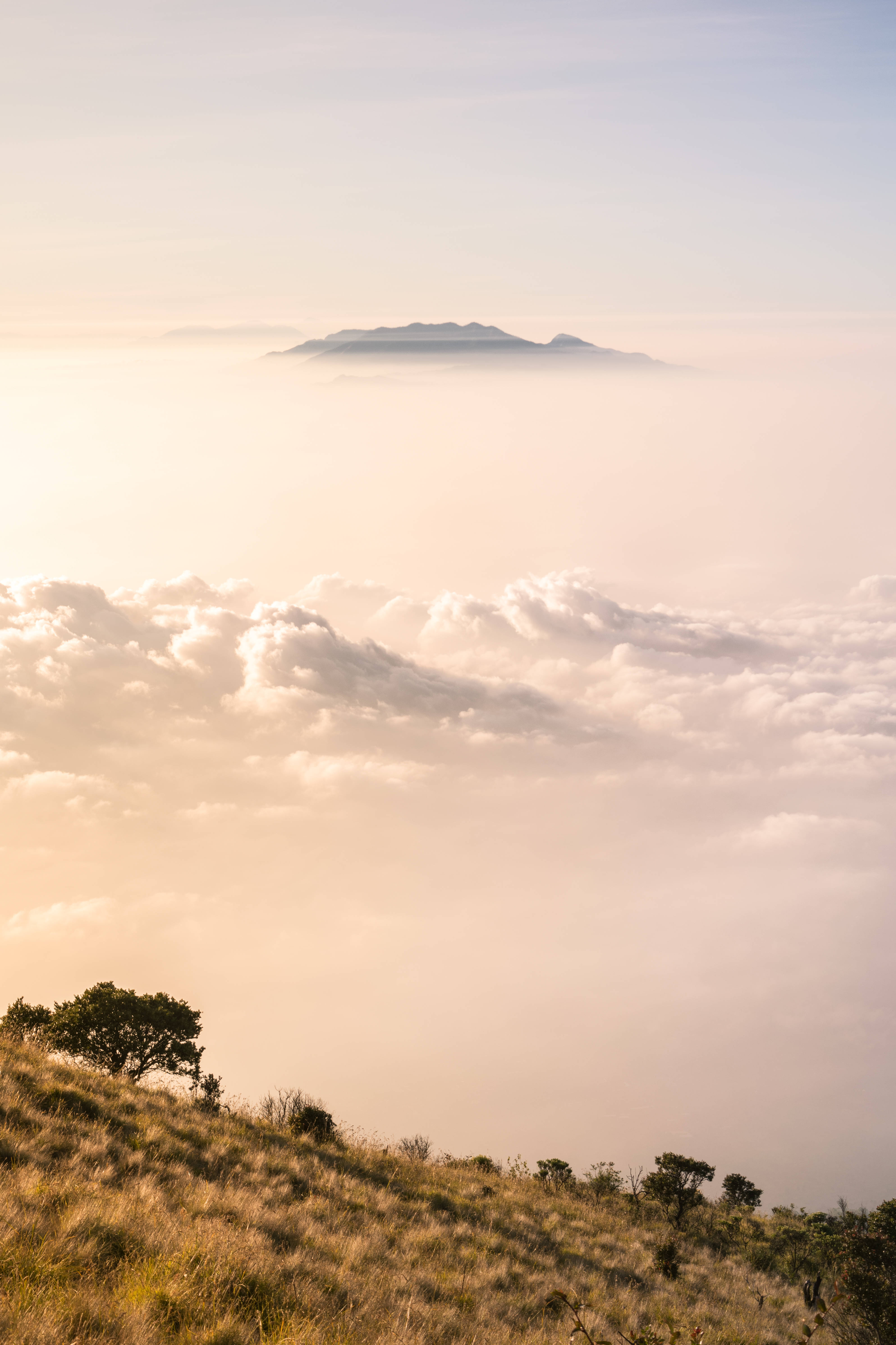 golden sunrise, grassy hillside, sea of clouds, 5K Phone Wallpaper
