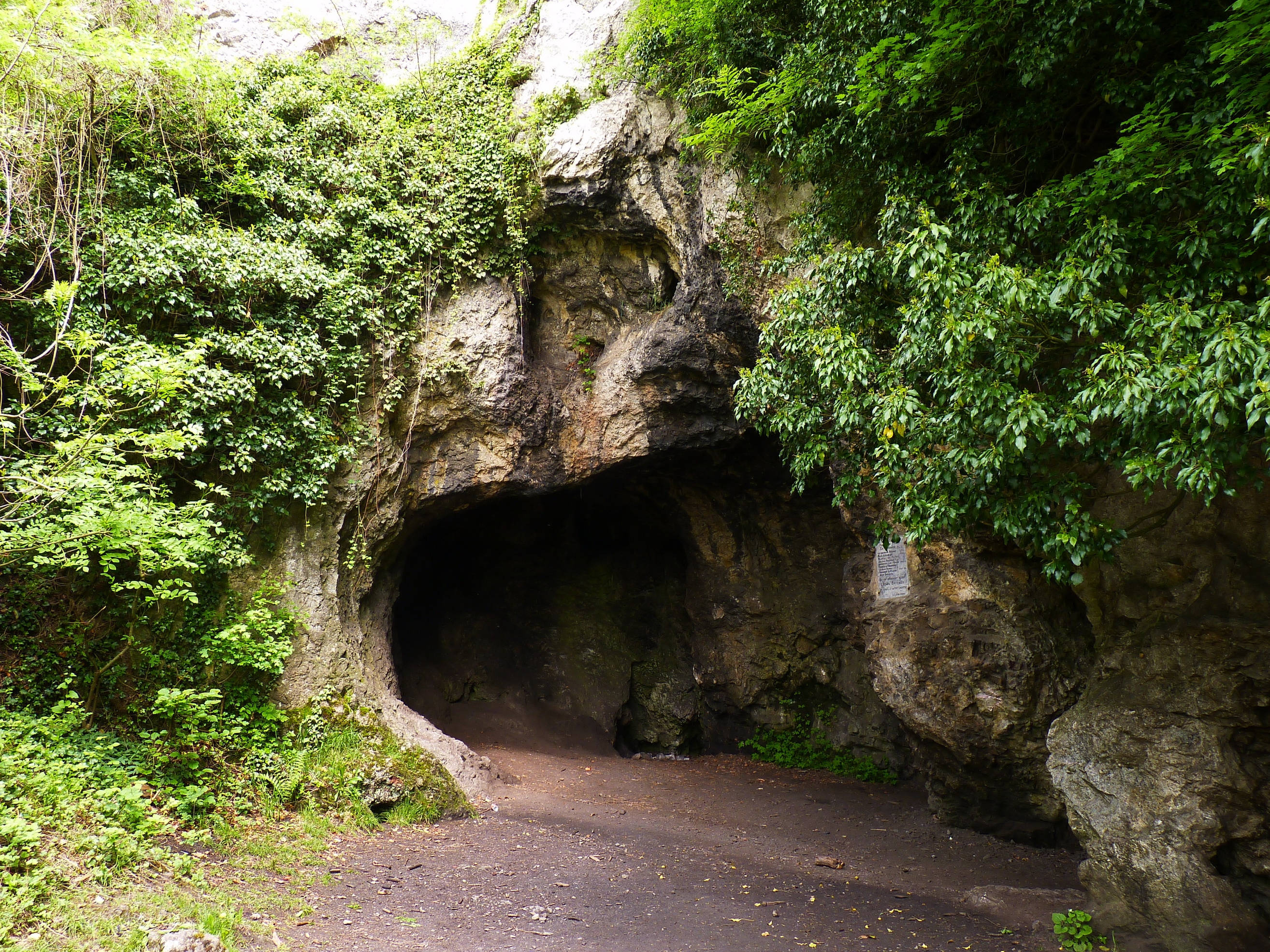 Belgium, spy cave, mossy rocky cave entrance, 2K Desktop Wallpaper