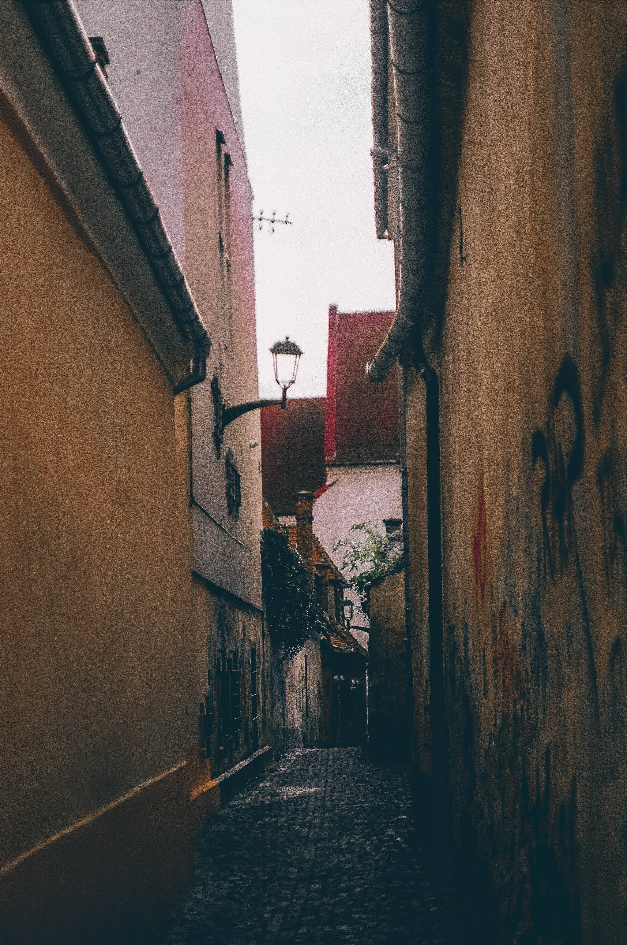narrow cobblestone alleyway, warm-toned buildings, graffiti, 2K Phone Wallpaper