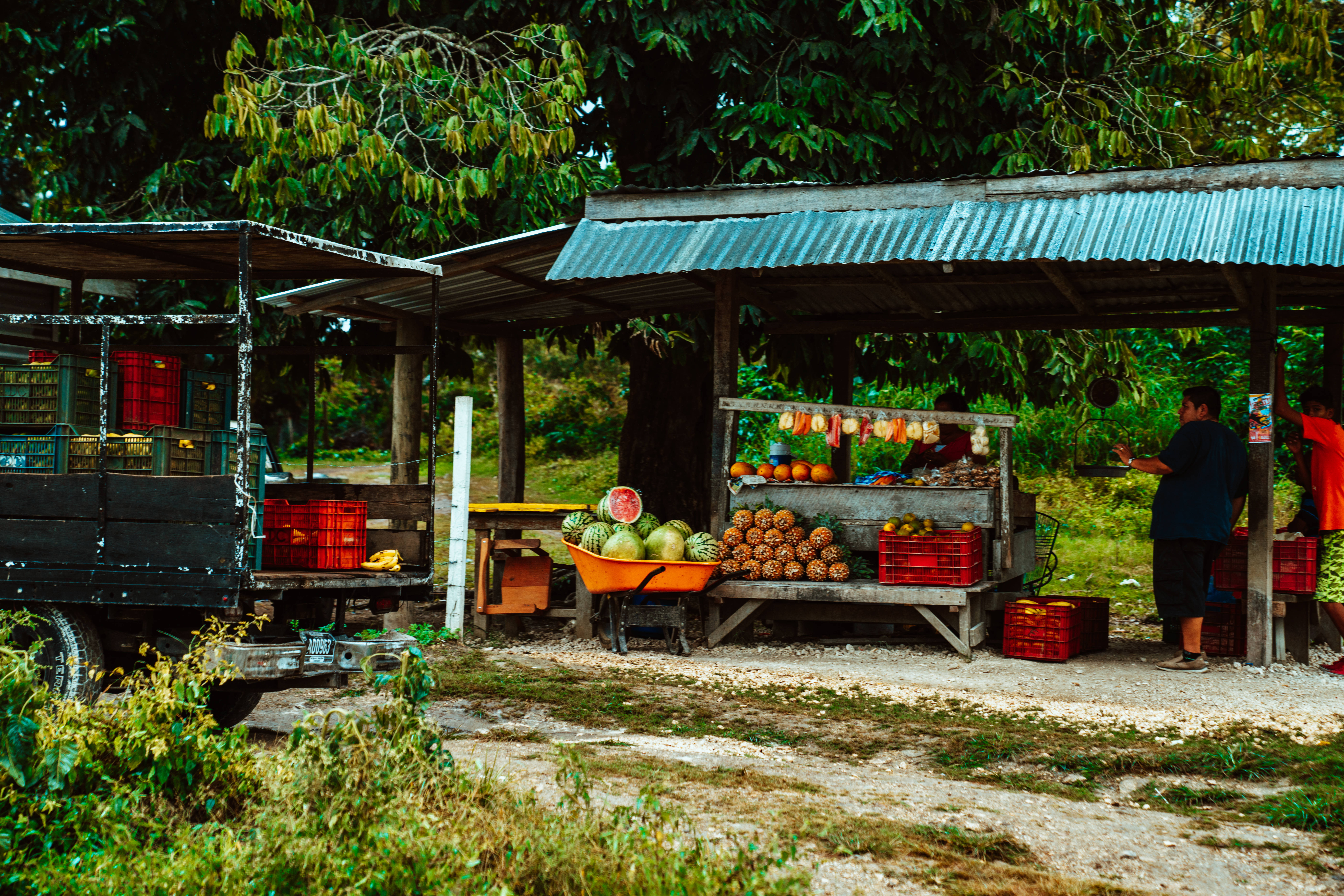 Belize, fruit stall, corrugated roof, 8K Desktop Wallpaper
