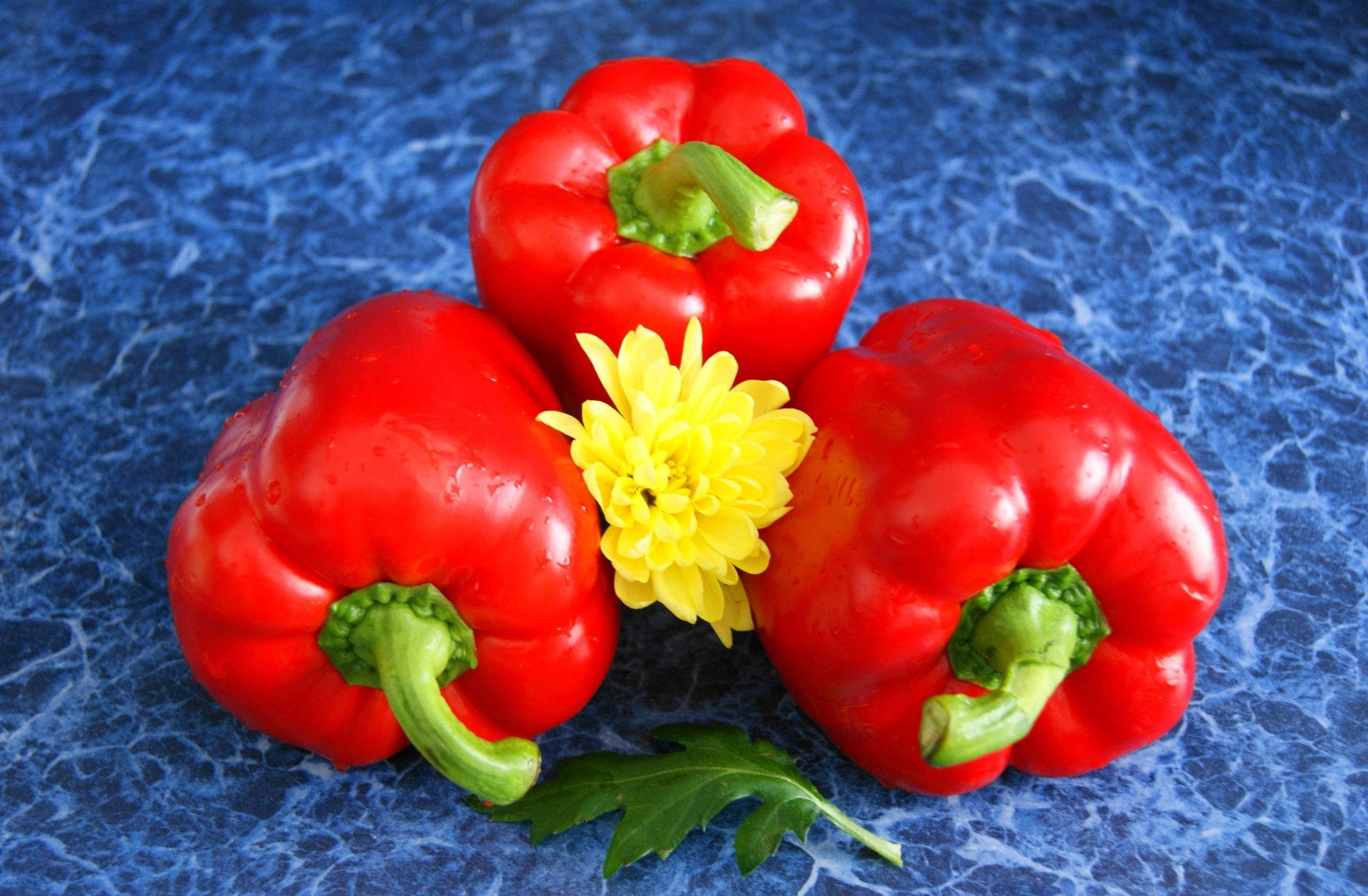 red exocarp, thick stemmed bell pepper fruits, glossy red bell peppers, 2K Desktop Wallpaper