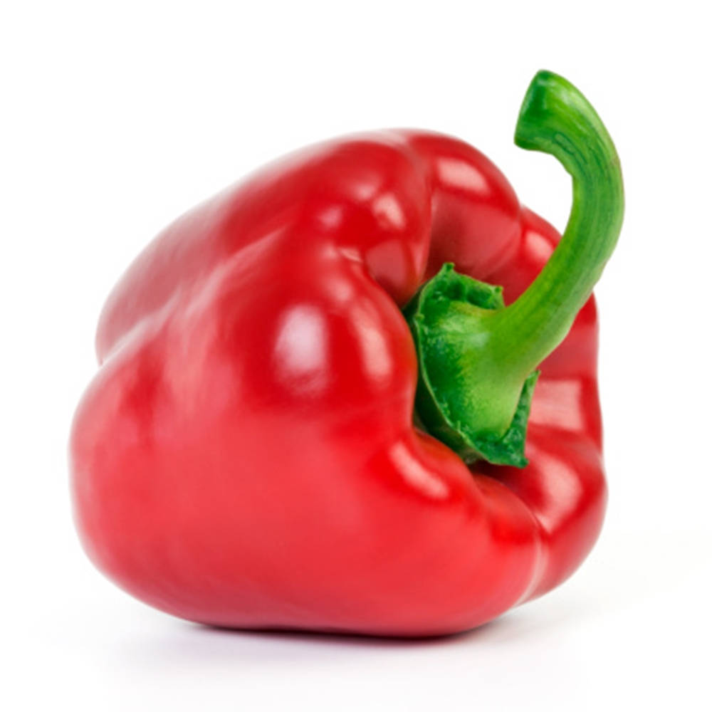crisp red bell pepper fruit, glossy red bell pepper, curved green stem, SD Desktop Wallpaper