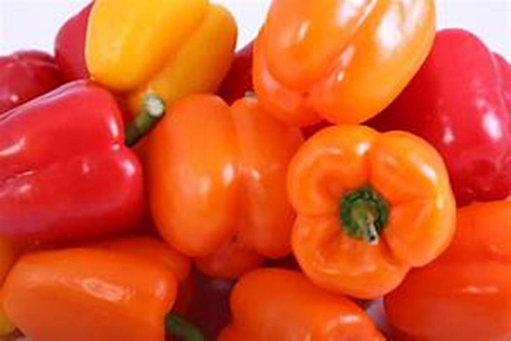 Bell Pepper, red, yellow, SD Desktop Wallpaper