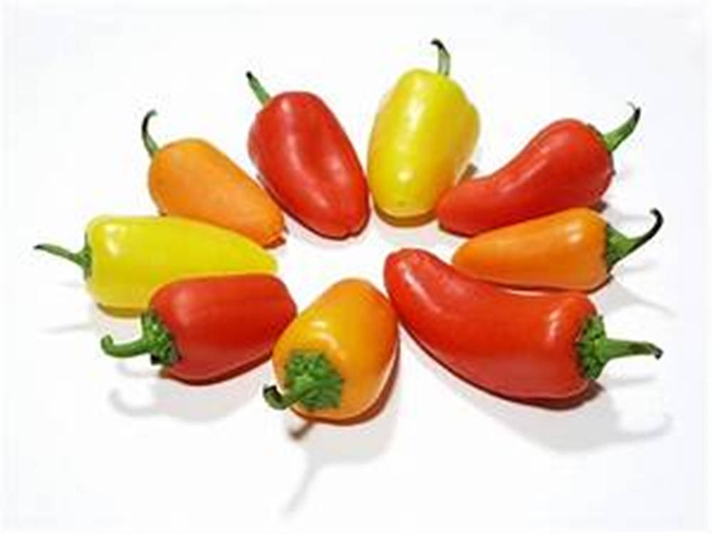 multi colored bell pepper fruits, red orange and yellow peppers, circular pattern, SD Desktop Wallpaper