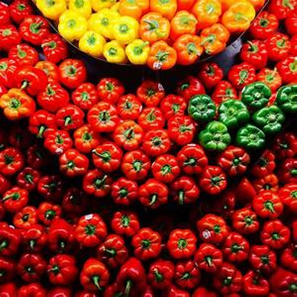 U-shaped arrangements, bell pepper fruits, red bell peppers, SD Desktop Wallpaper
