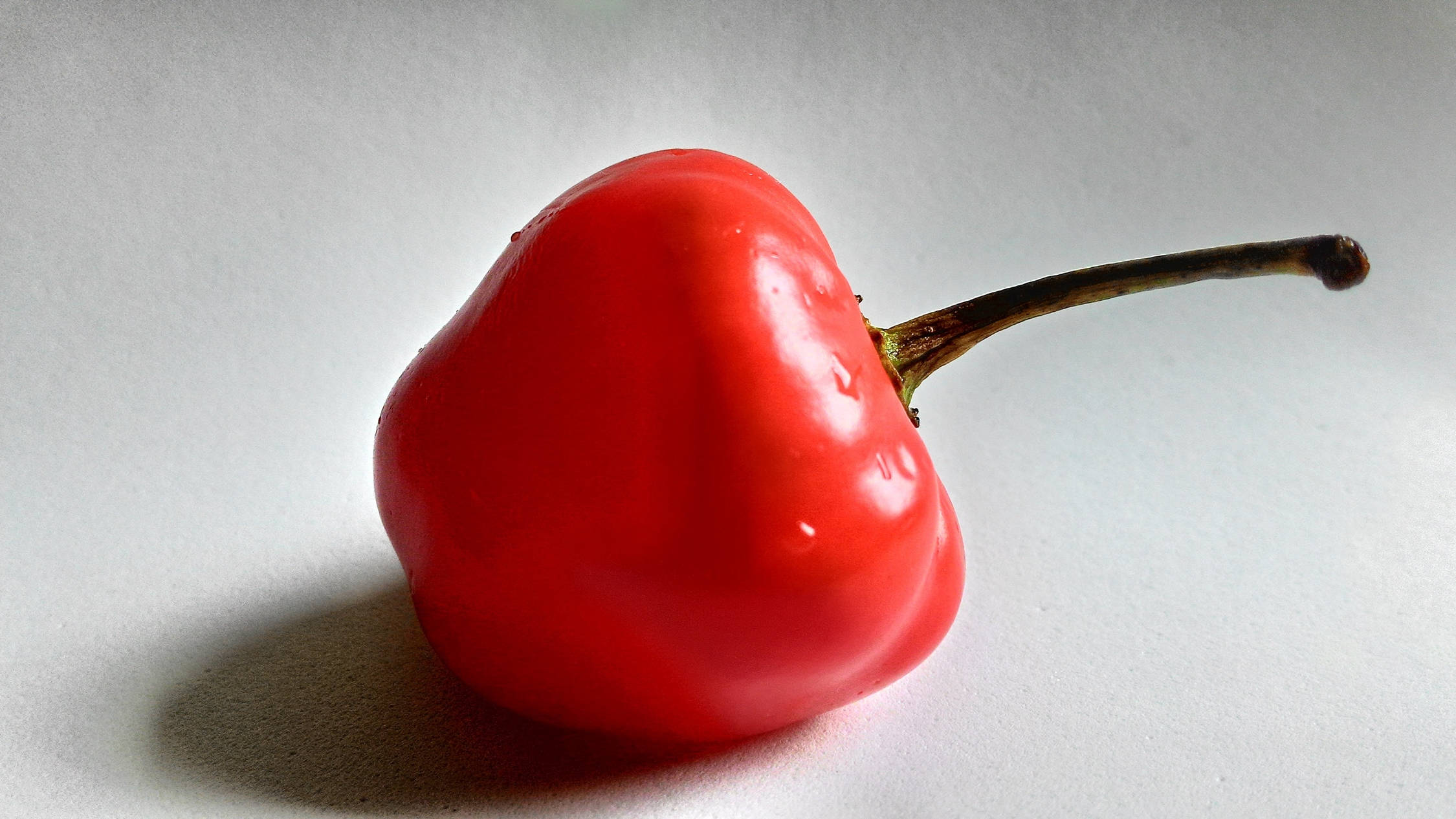 round red bell pepper fruit, glossy red, curved stem, Full HD Desktop Wallpaper